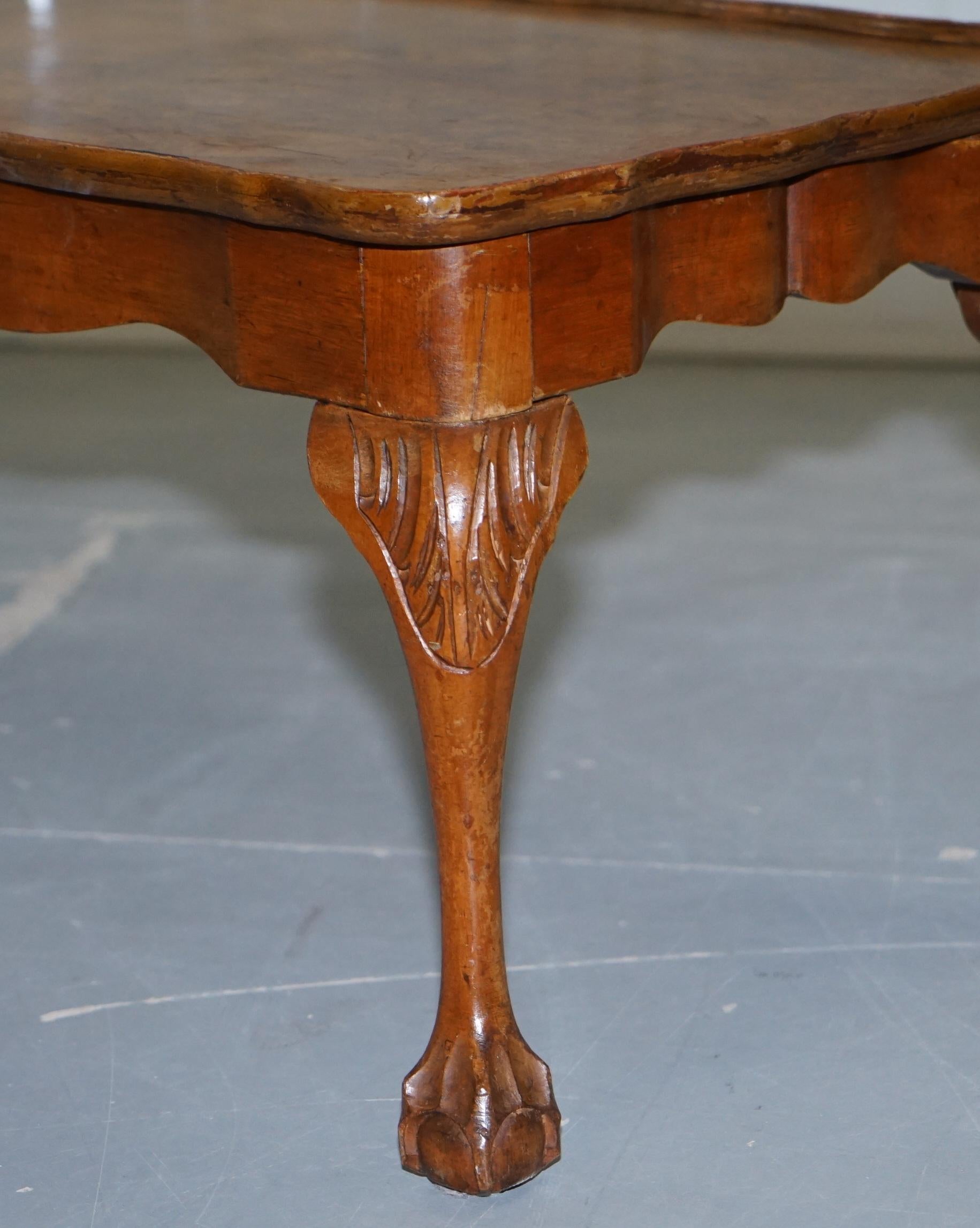 Vintage Quarter Burr Walnut Cut Coffee Table with Claw and Ball Cabriolet Legs 2