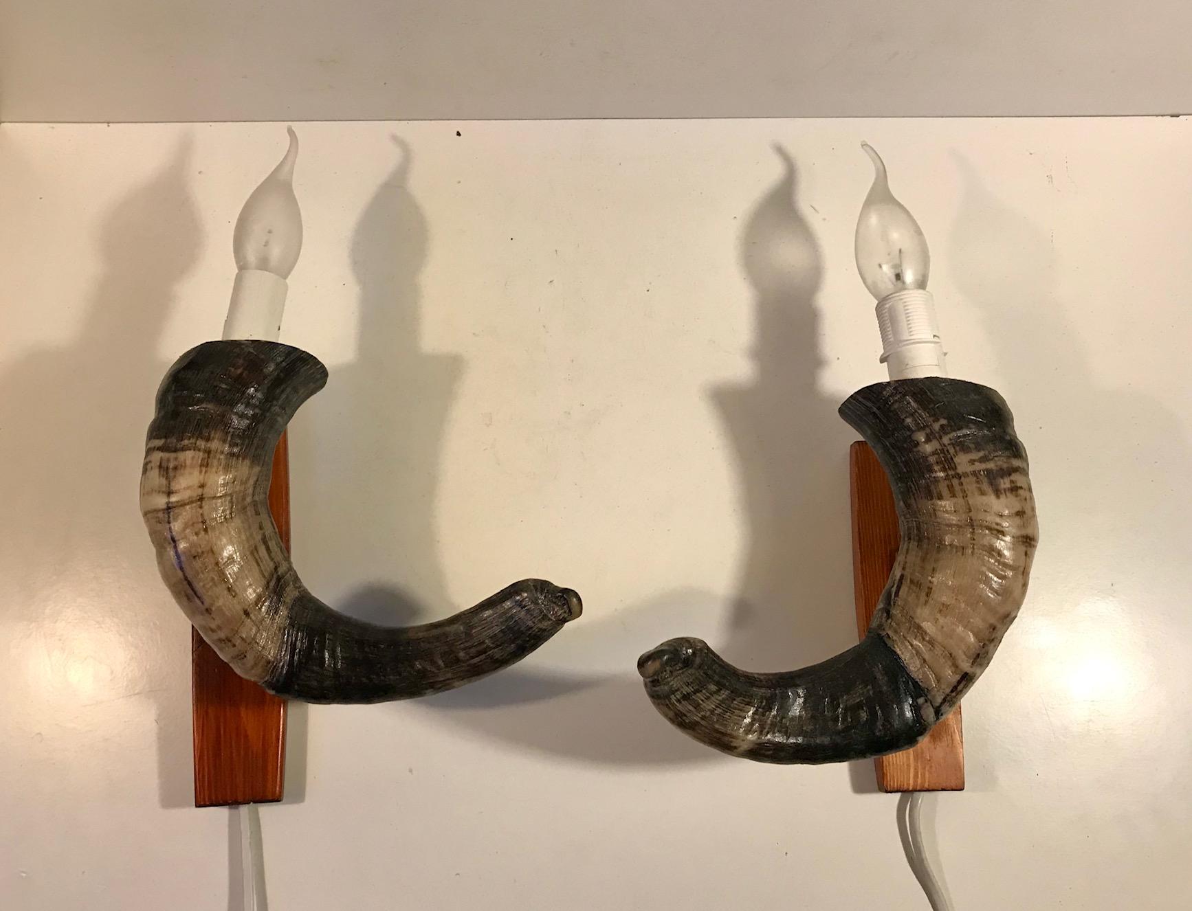 A pair of matching Ram horn sconces with wooden mounts. Unknown Danish maker circa 1970. New wire and sockets has been fitted.