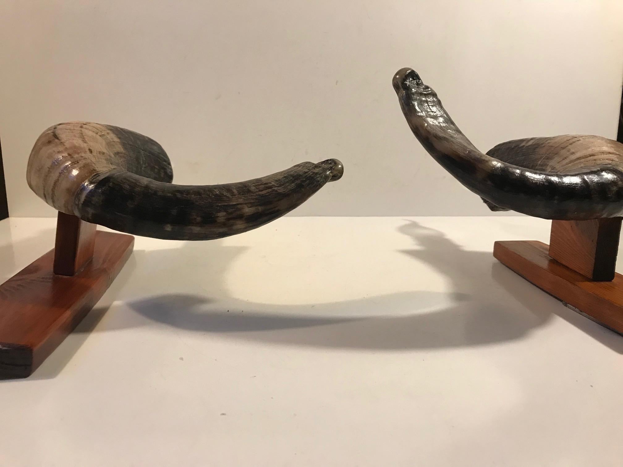 European Vintage Ram Horn Sconces, Set of 2