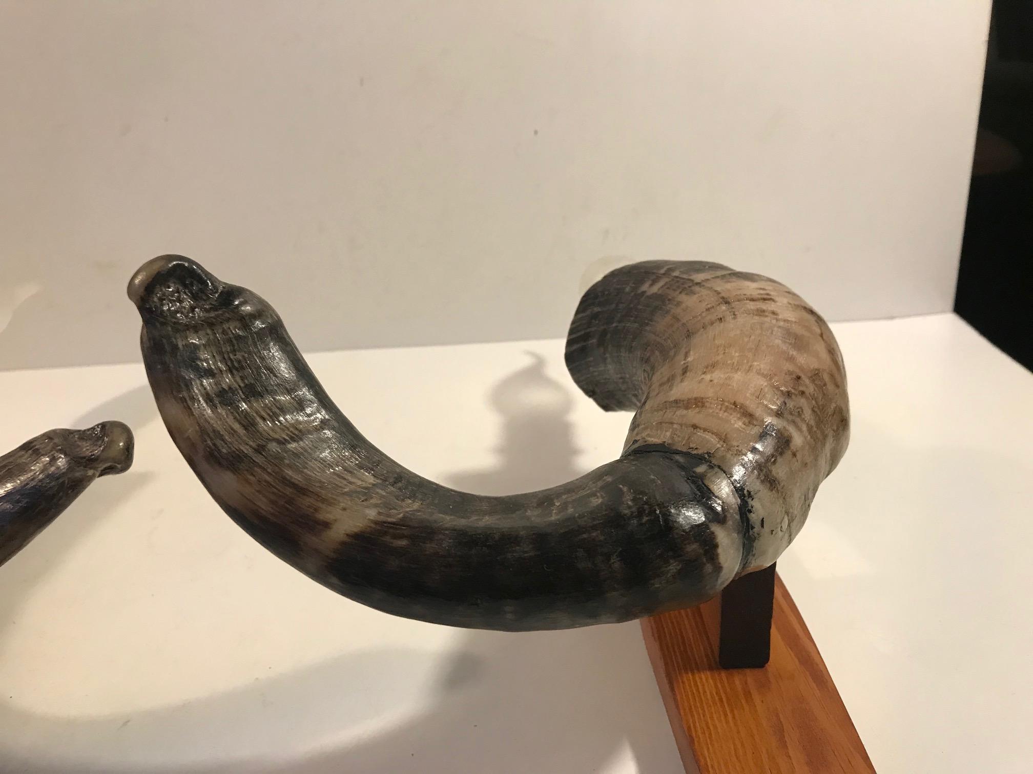 Vintage Ram Horn Wandleuchter, Satz von 2 im Zustand „Gut“ im Angebot in Esbjerg, DK