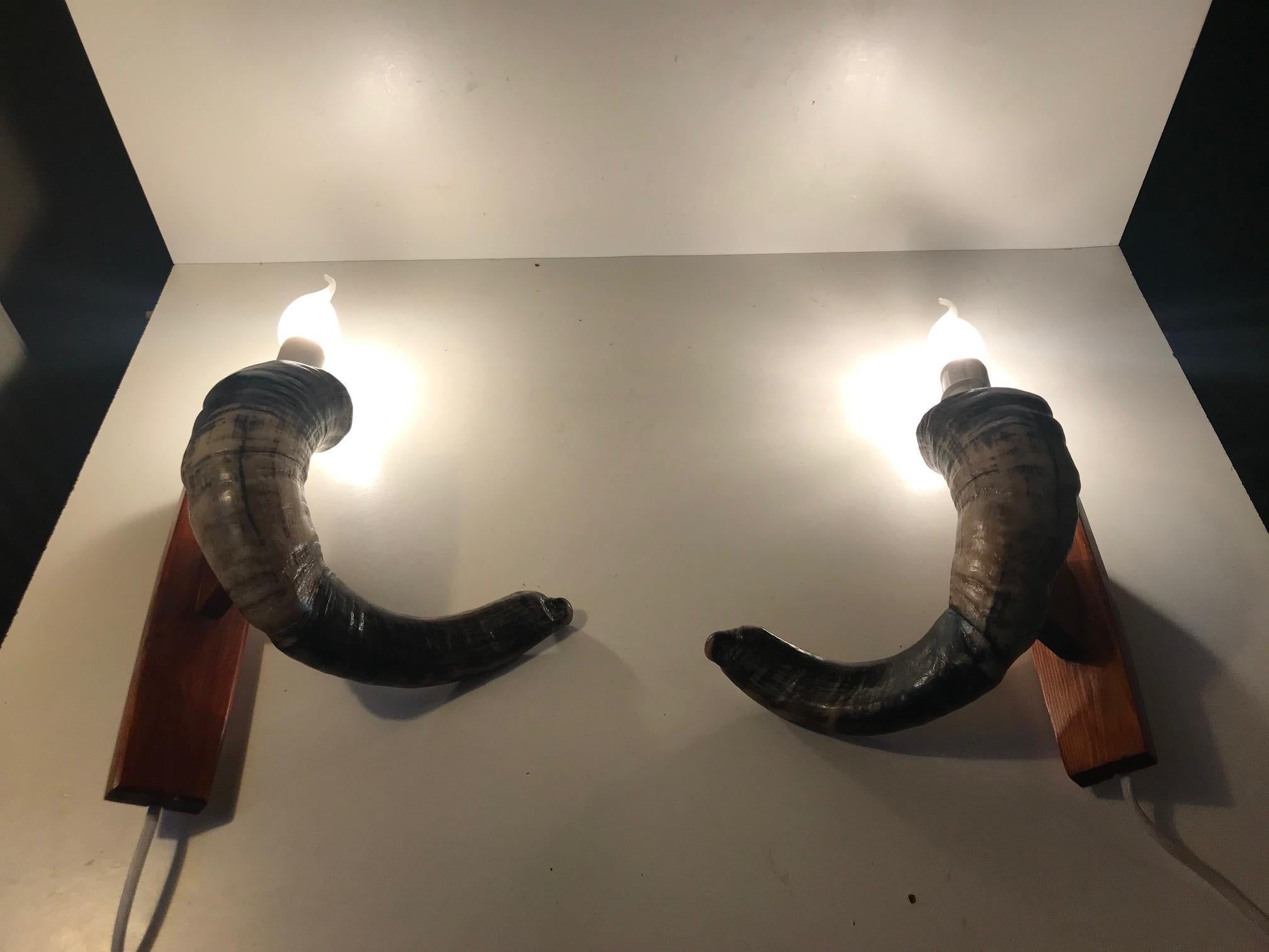 Late 20th Century Vintage Ram Horn Sconces, Set of 2 For Sale