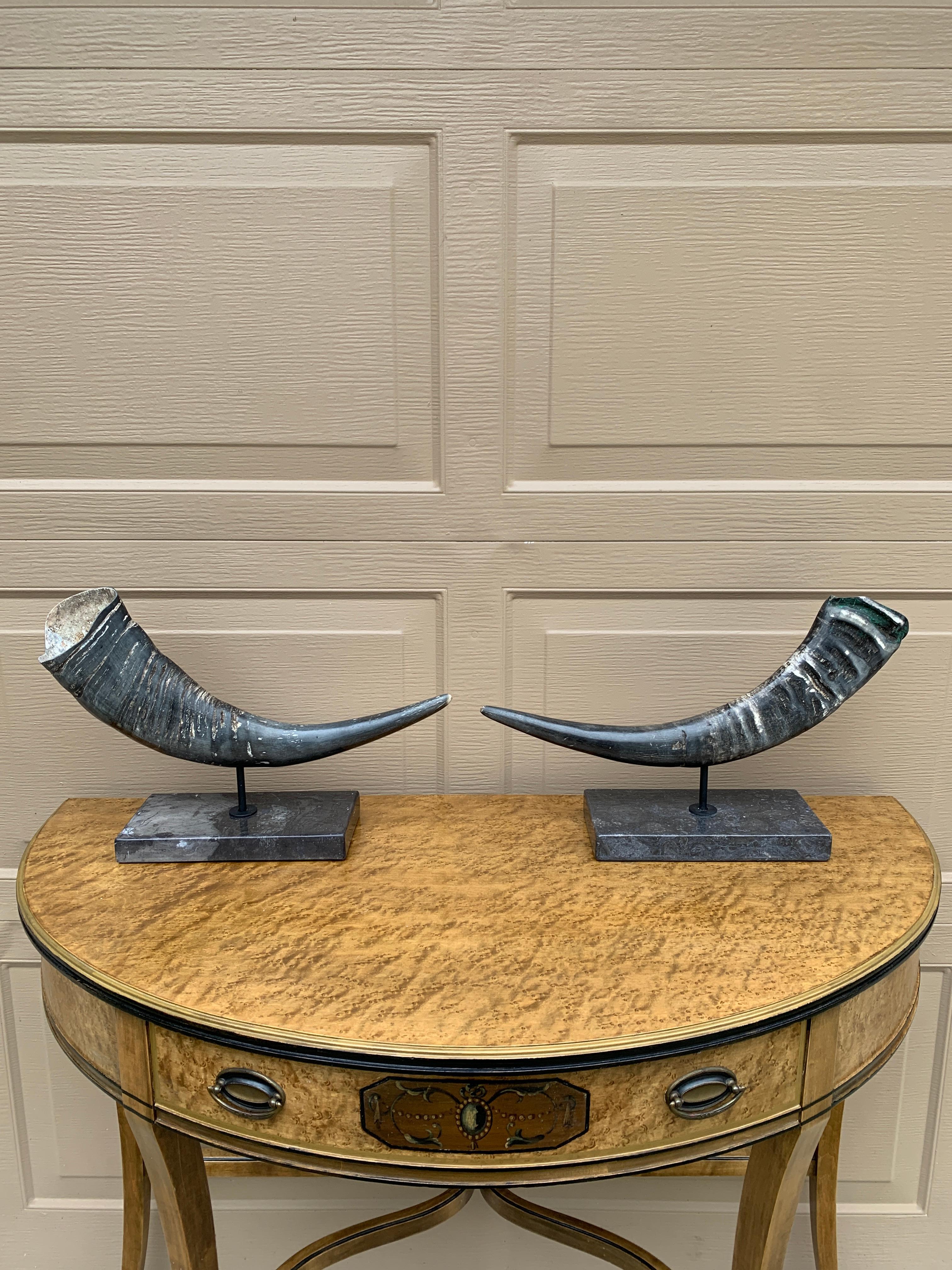 Corni d'ariete d'epoca su supporti di marmo nero, coppia in vendita 4