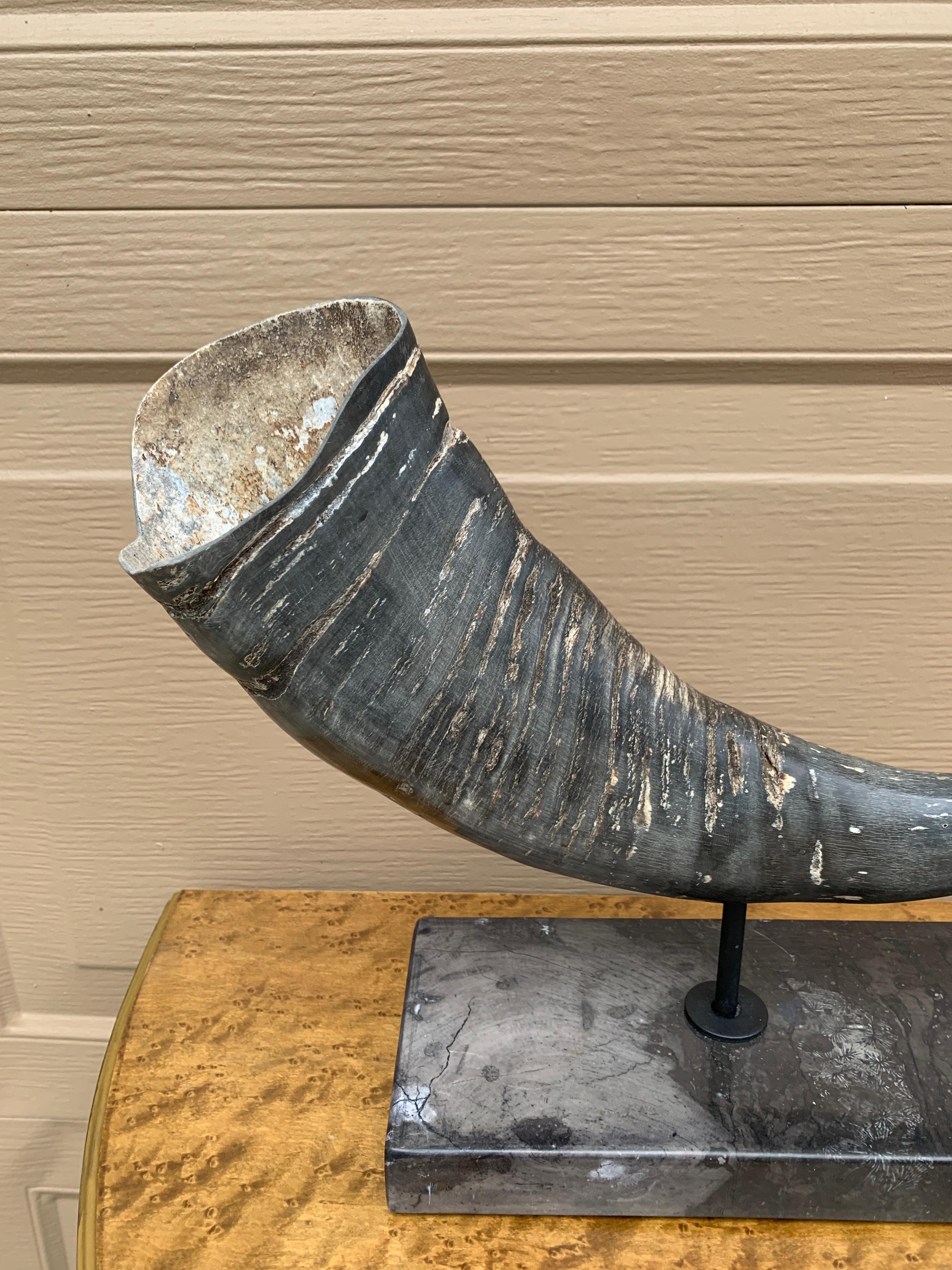 Corni d'ariete d'epoca su supporti di marmo nero, coppia in vendita 5