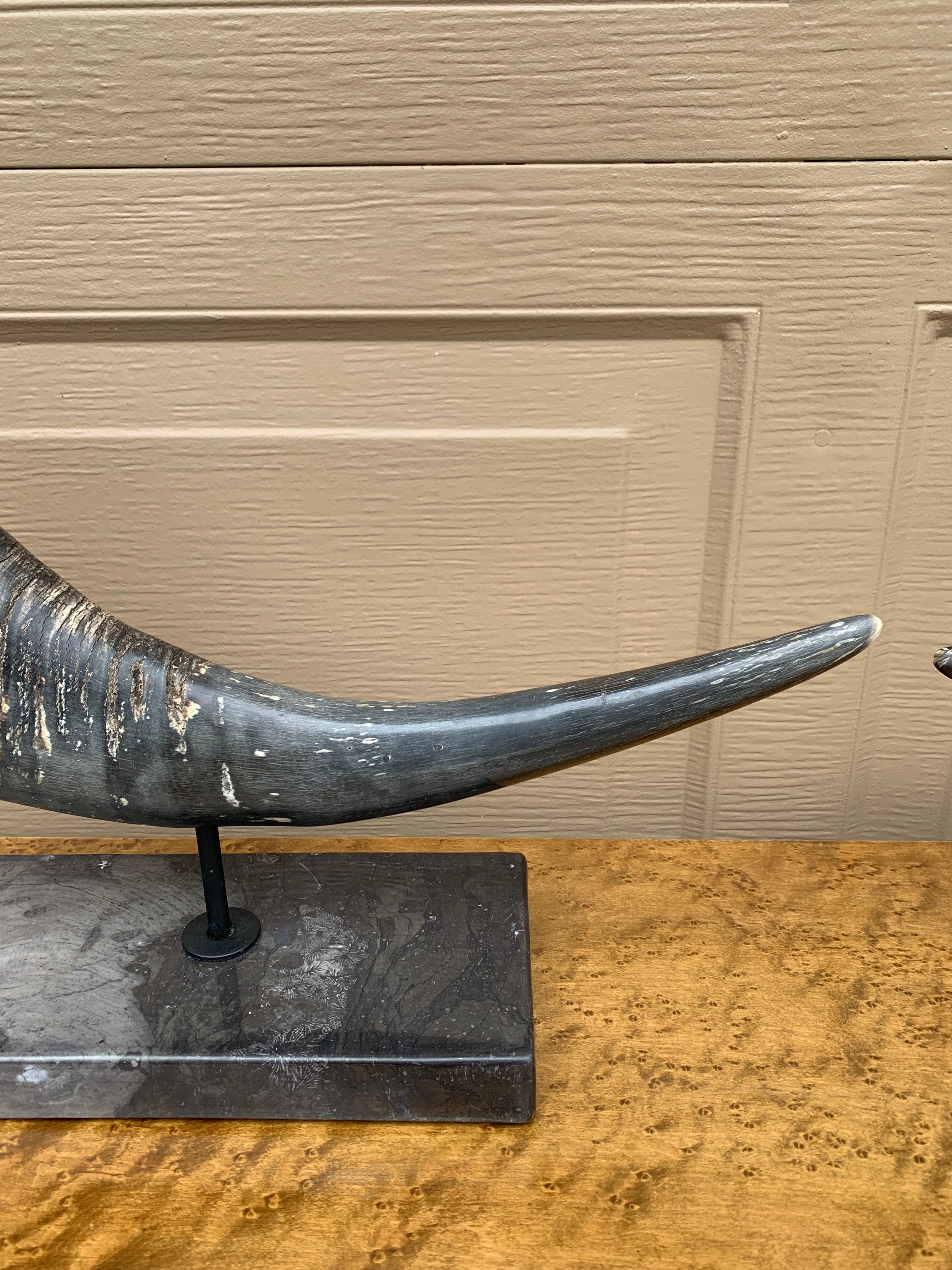 Corni d'ariete d'epoca su supporti di marmo nero, coppia in vendita 6