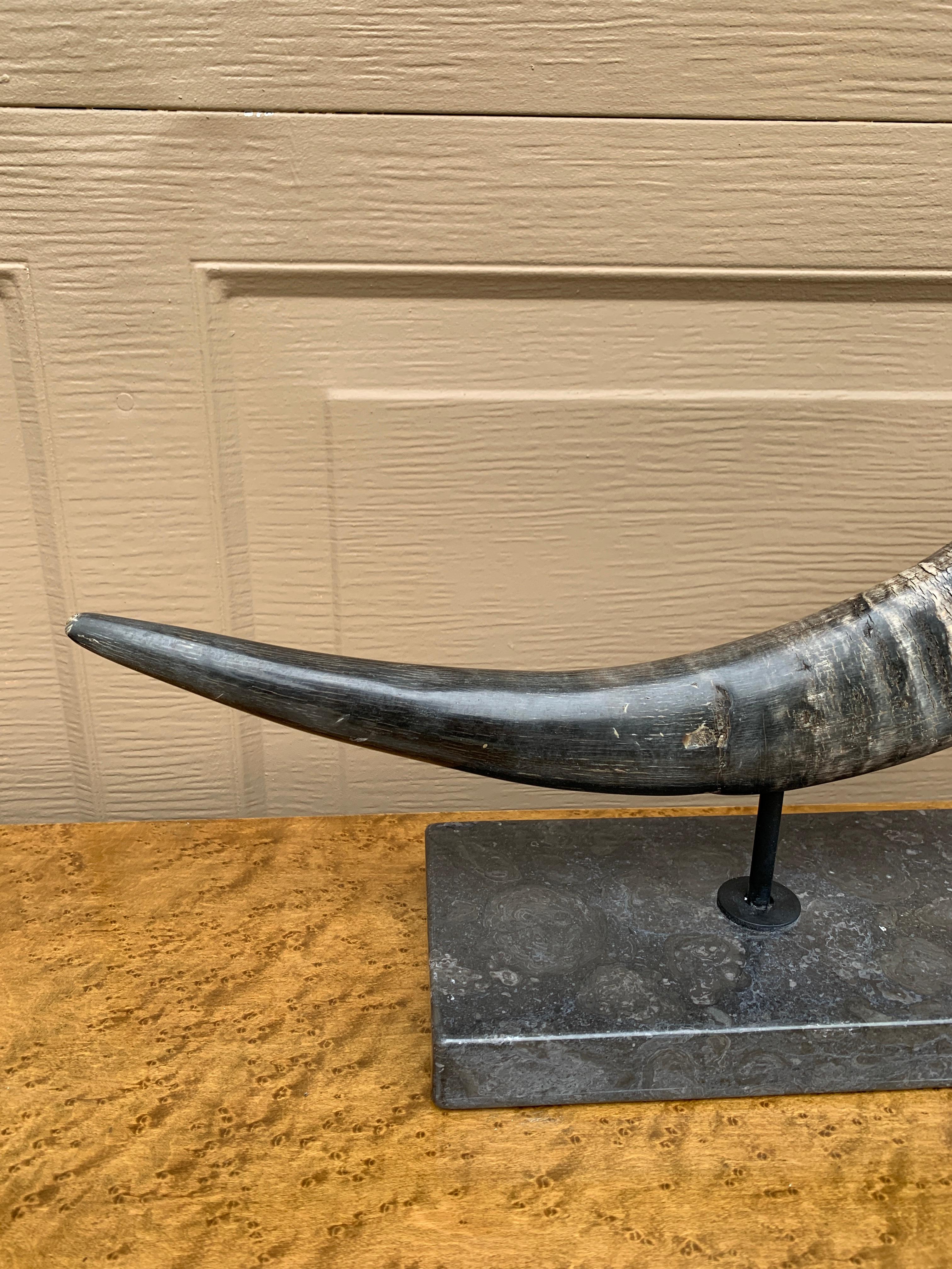 Corni d'ariete d'epoca su supporti di marmo nero, coppia in vendita 7