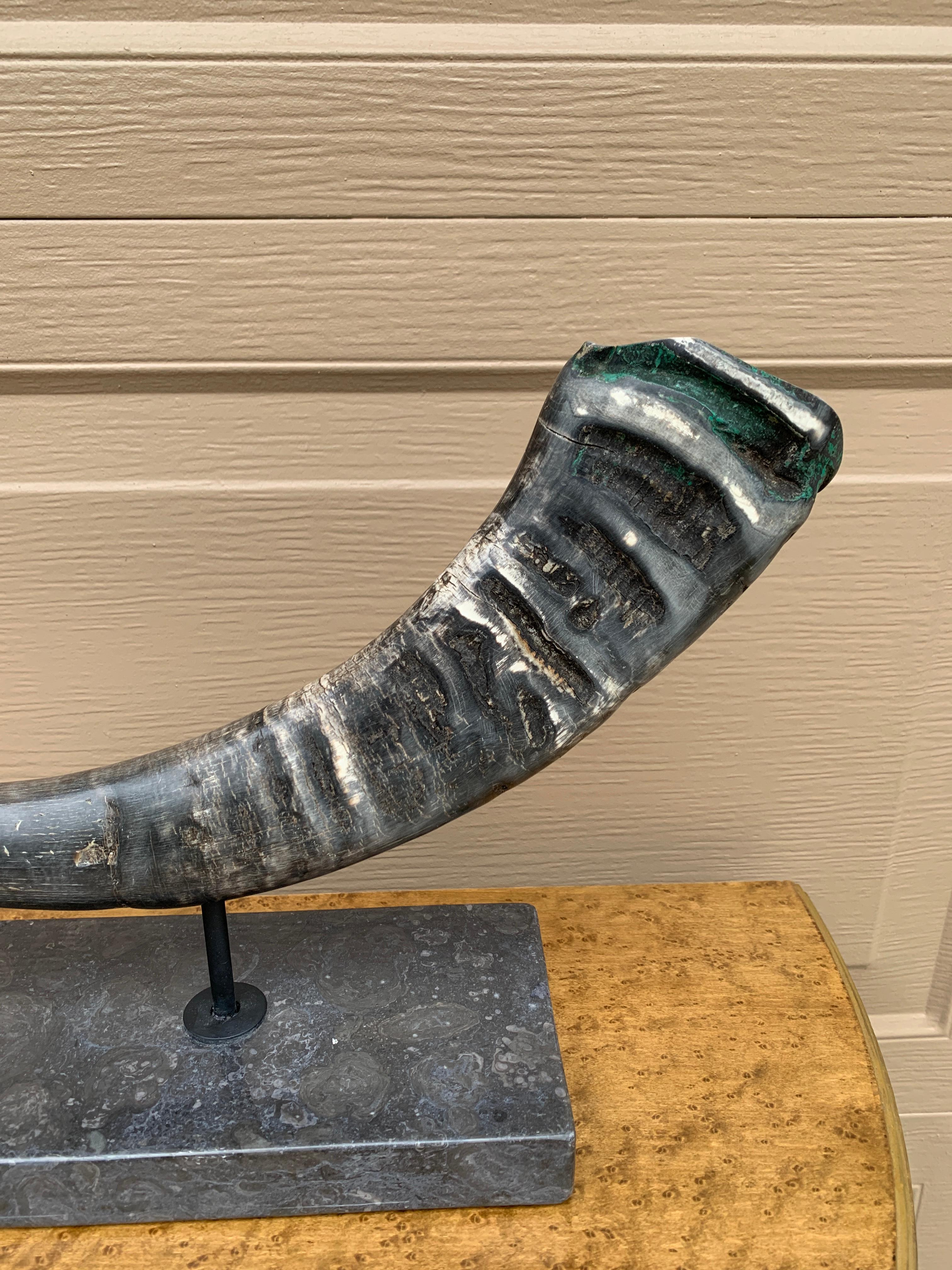 Corni d'ariete d'epoca su supporti di marmo nero, coppia in vendita 8