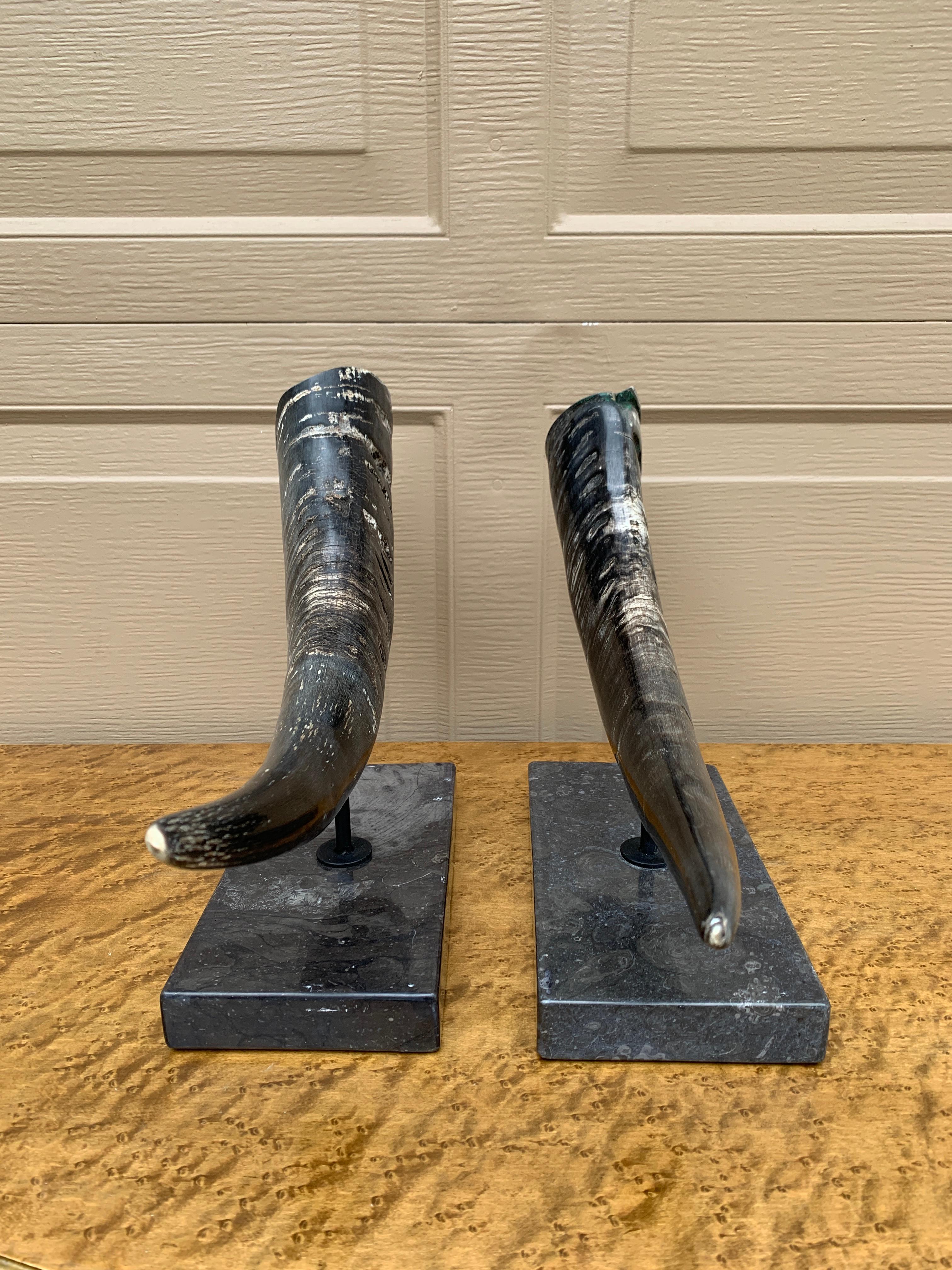 Corni d'ariete d'epoca su supporti di marmo nero, coppia in vendita 9