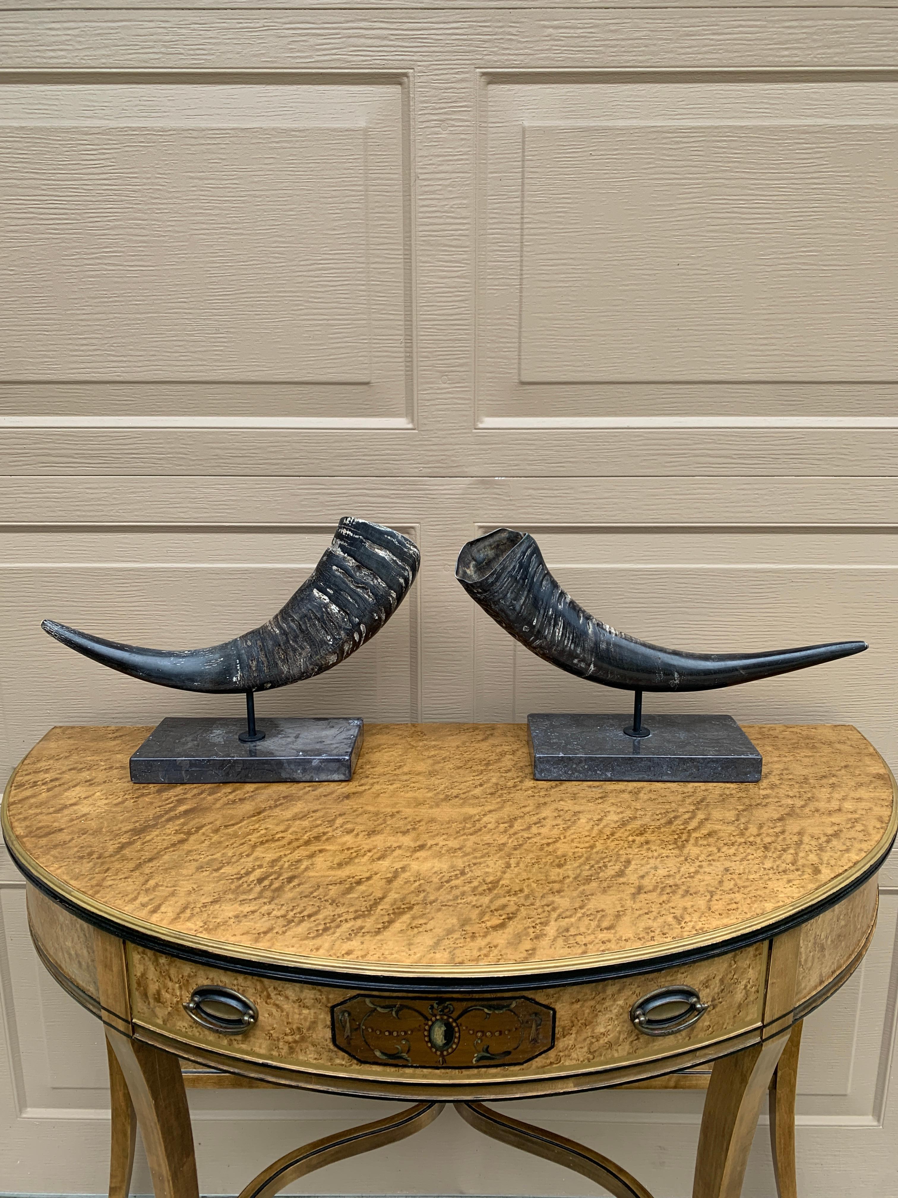 Una splendida coppia di corni di ariete montati su basi di marmo nero

Stati Uniti, fine del XX secolo

Ciascuna misura: 17