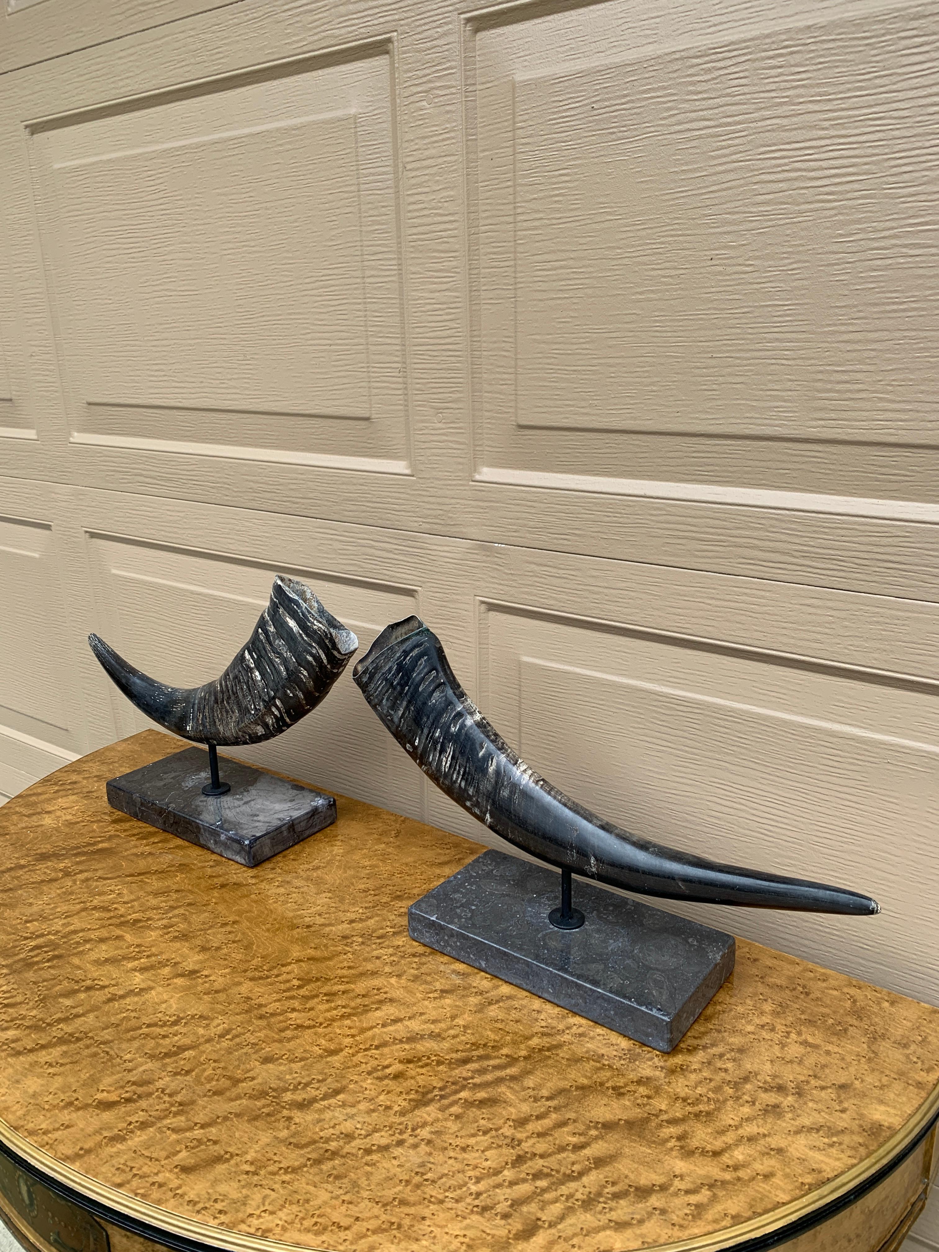 Rustico Corni d'ariete d'epoca su supporti di marmo nero, coppia in vendita