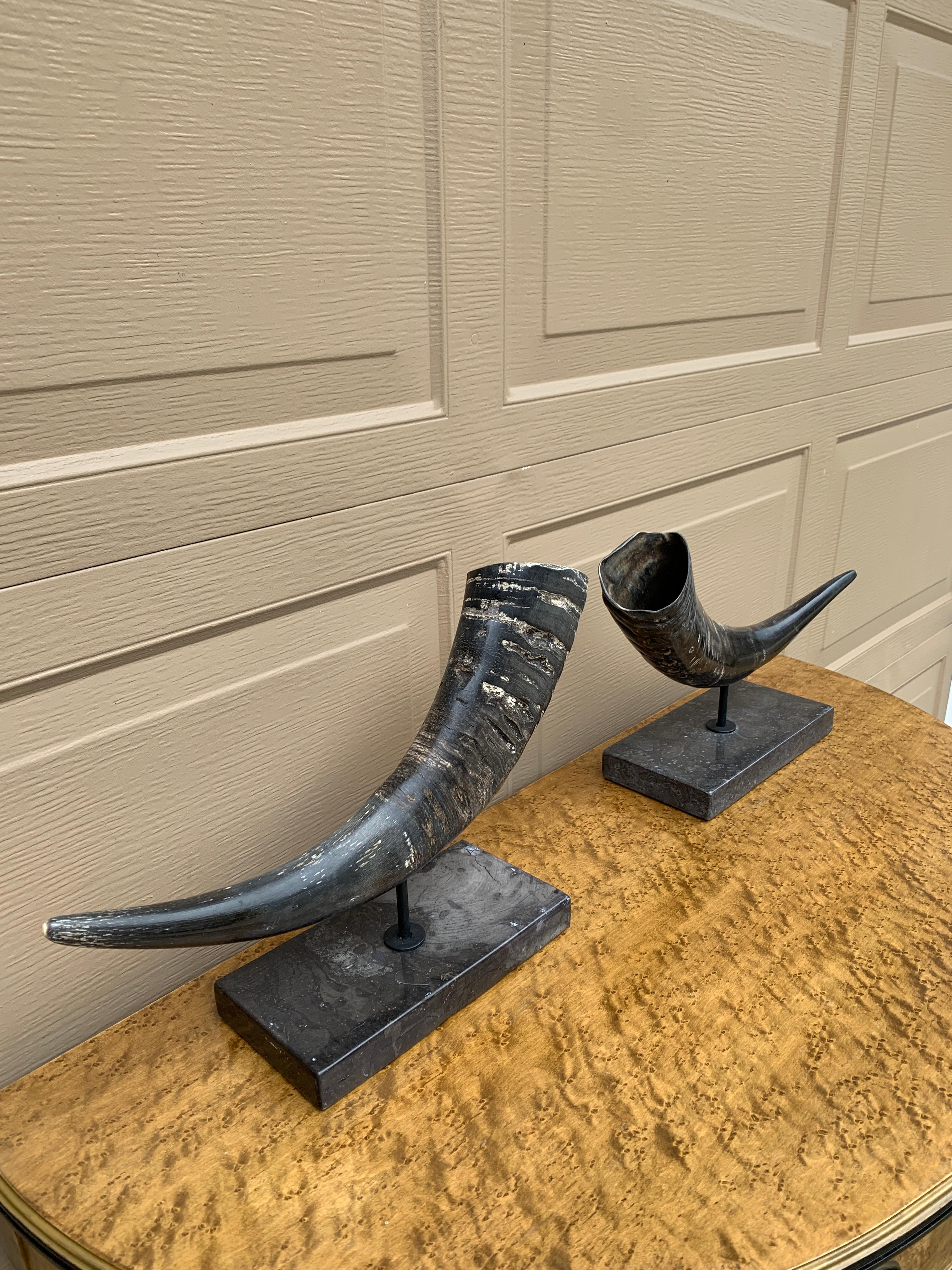 Americano Corni d'ariete d'epoca su supporti di marmo nero, coppia in vendita