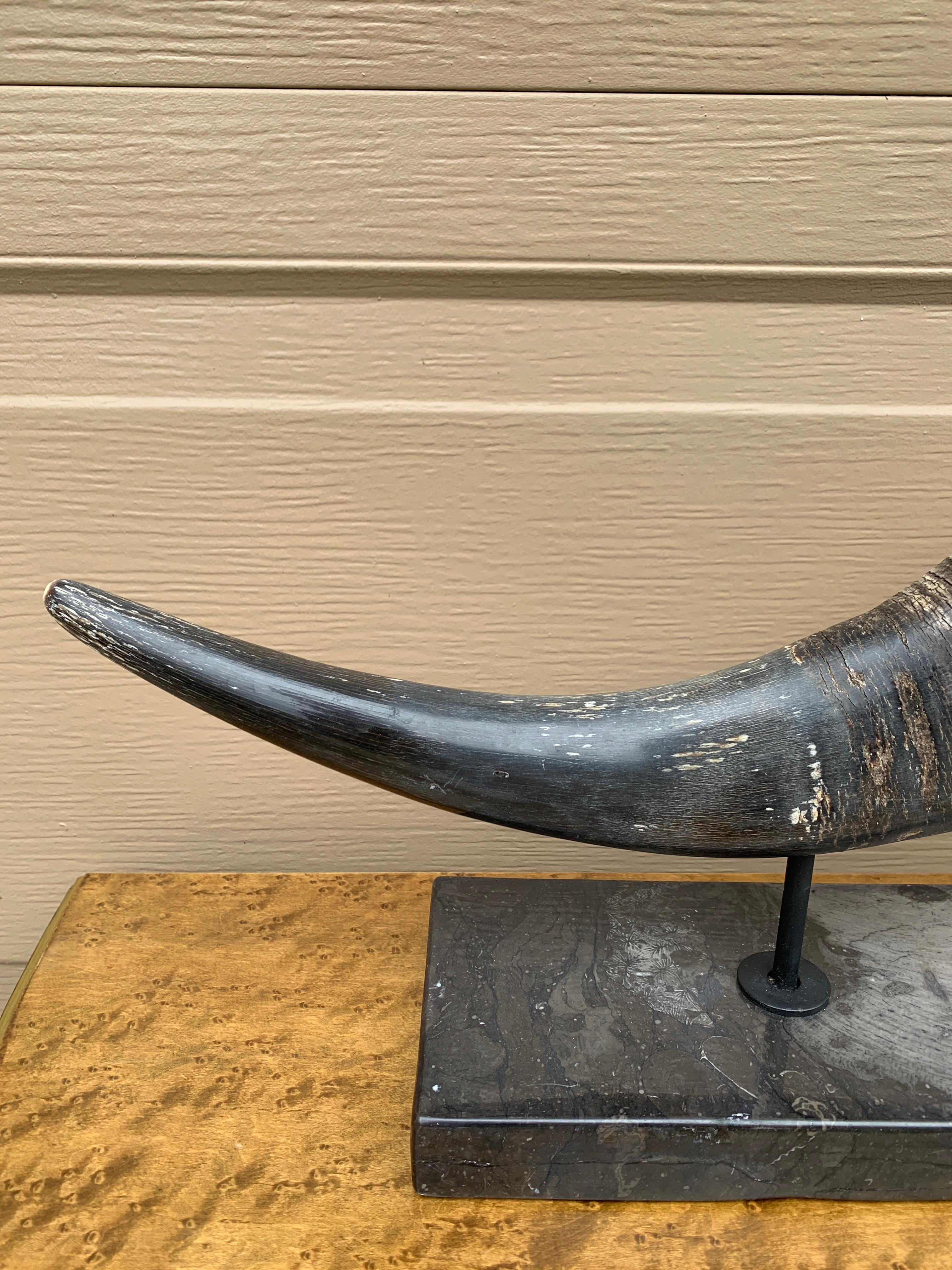 Corni d'ariete d'epoca su supporti di marmo nero, coppia In condizioni buone in vendita a Elkhart, IN