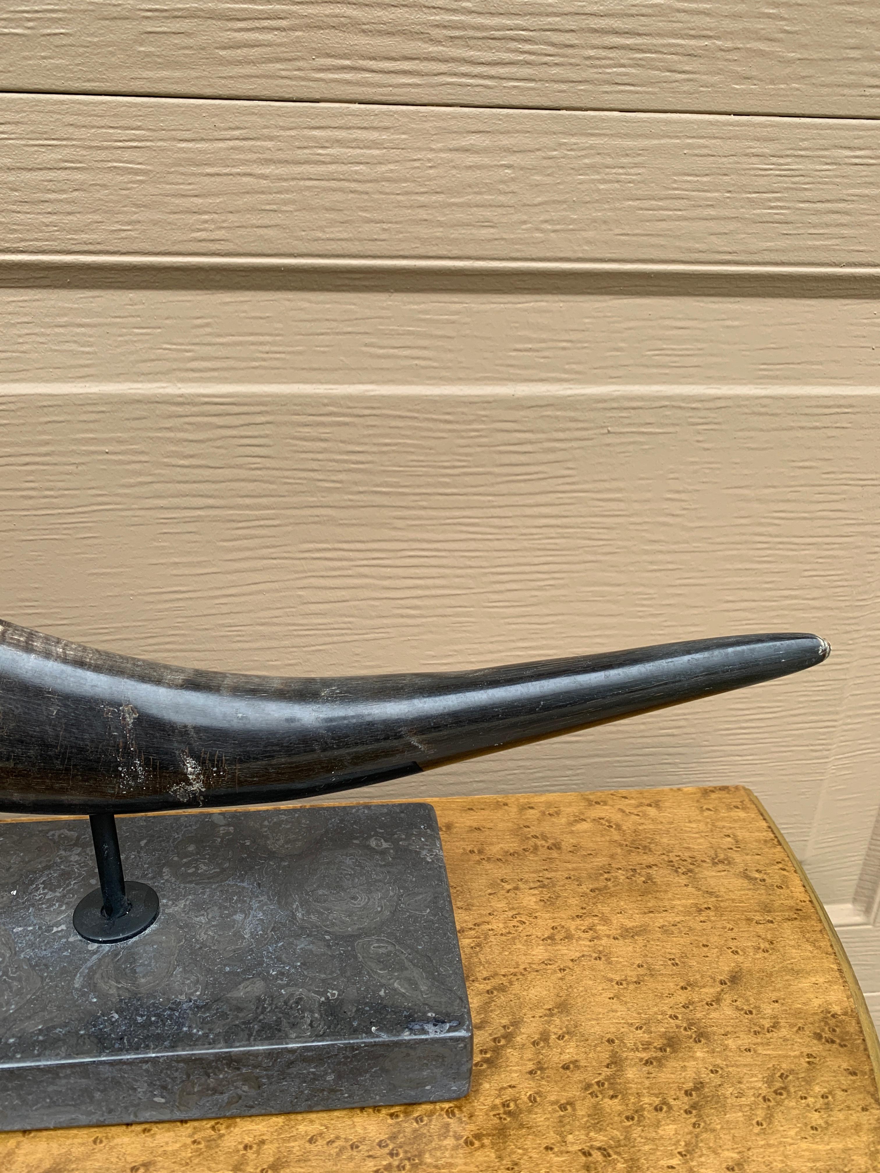 Corni d'ariete d'epoca su supporti di marmo nero, coppia in vendita 1