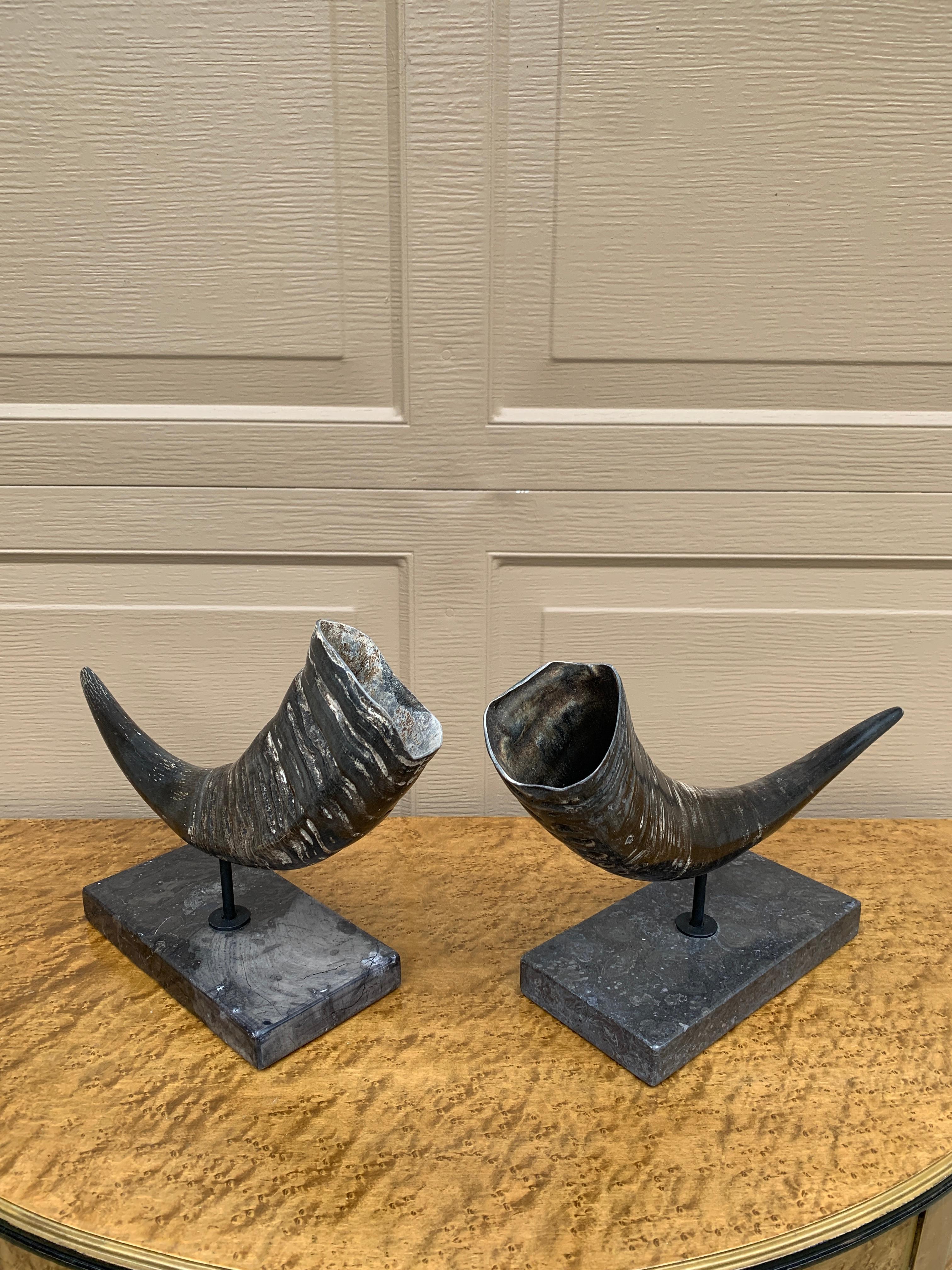 Corni d'ariete d'epoca su supporti di marmo nero, coppia in vendita 2
