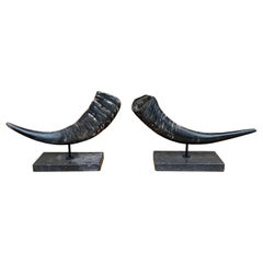 Portacandele in osso