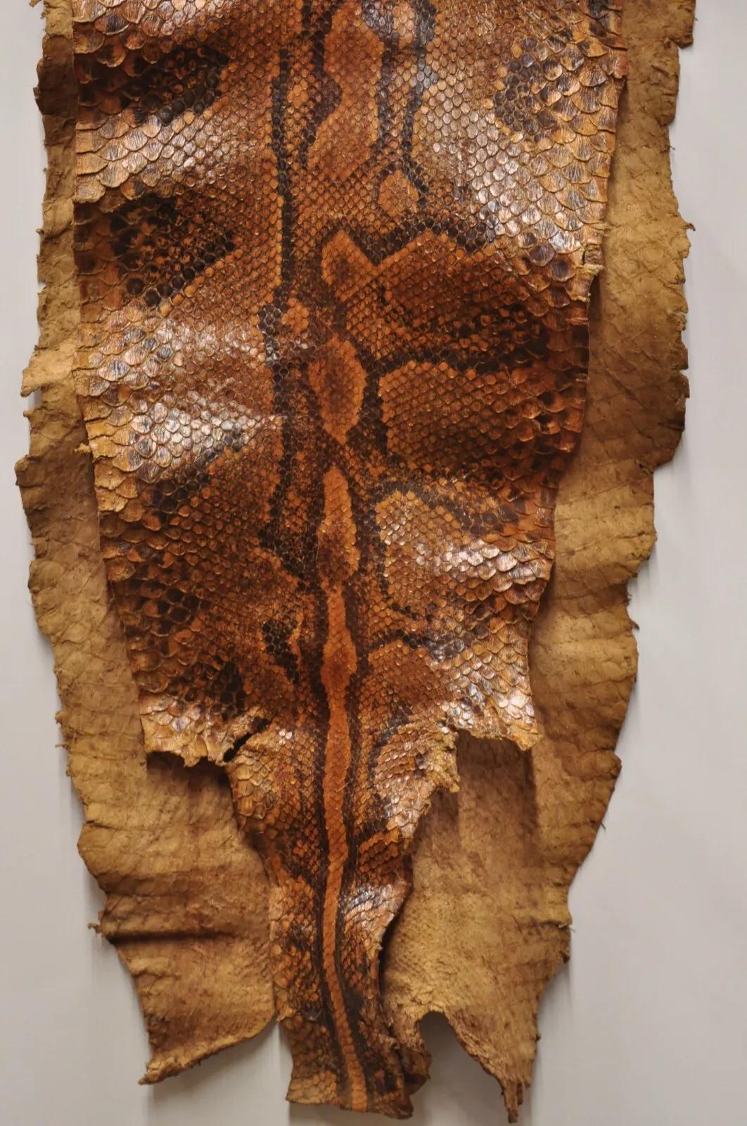 Vintage Rare Full Body Long 14 Foot Rock Python Snakeskin Shed Taxidermy For Sale 3