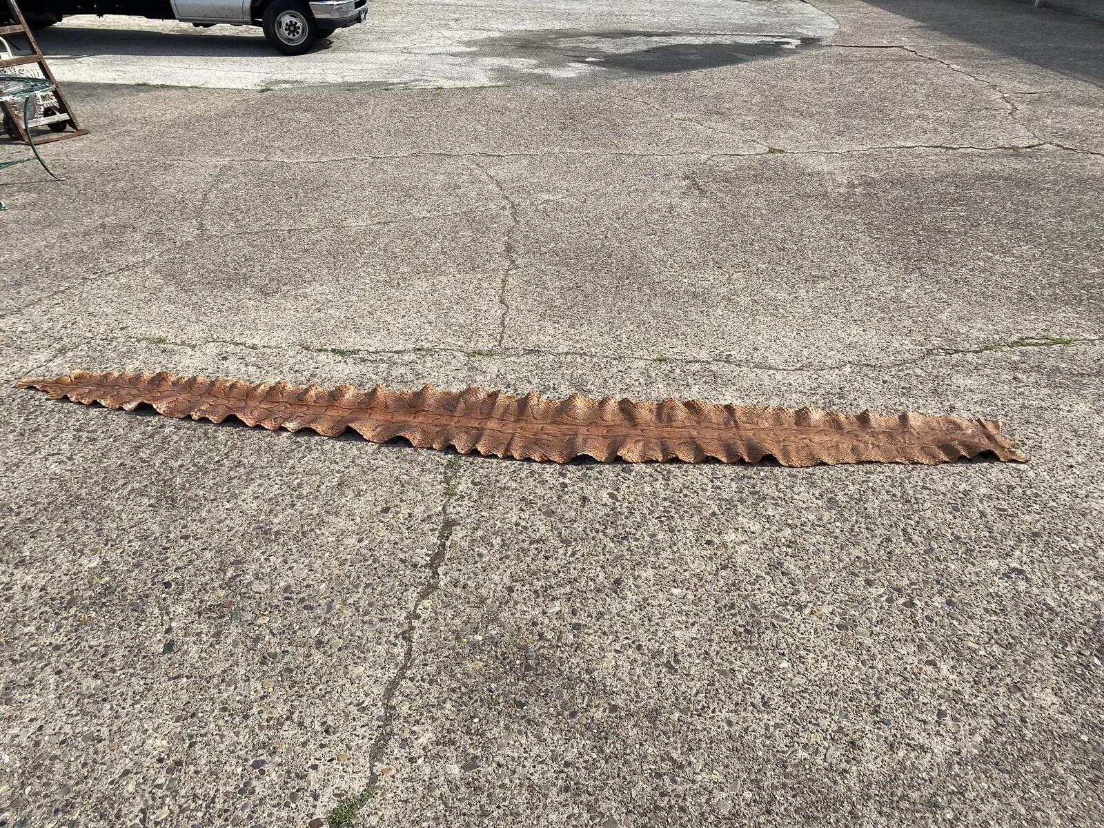 Vintage Rare Full Body Long 14 Foot Rock Python Snakeskin Shed Taxidermy. Circa Mid 20th Century. Measurements (Overall): 19