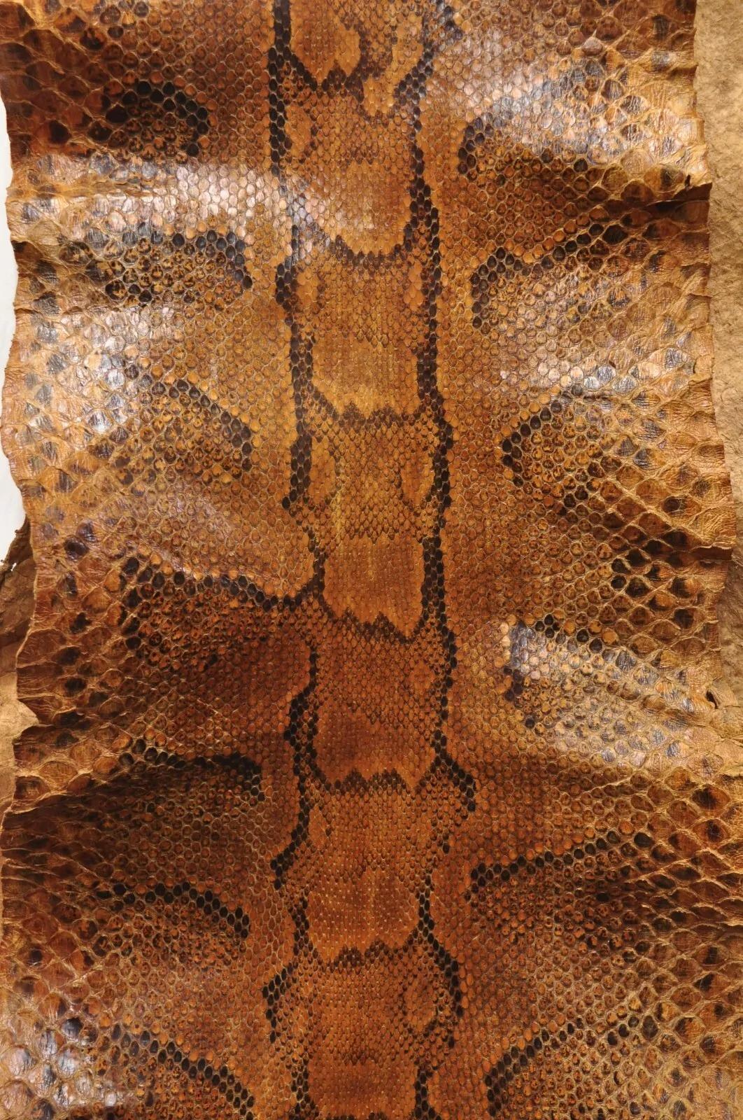 Rustic Vintage Rare Full Body Long 14 Foot Rock Python Snakeskin Shed Taxidermy For Sale