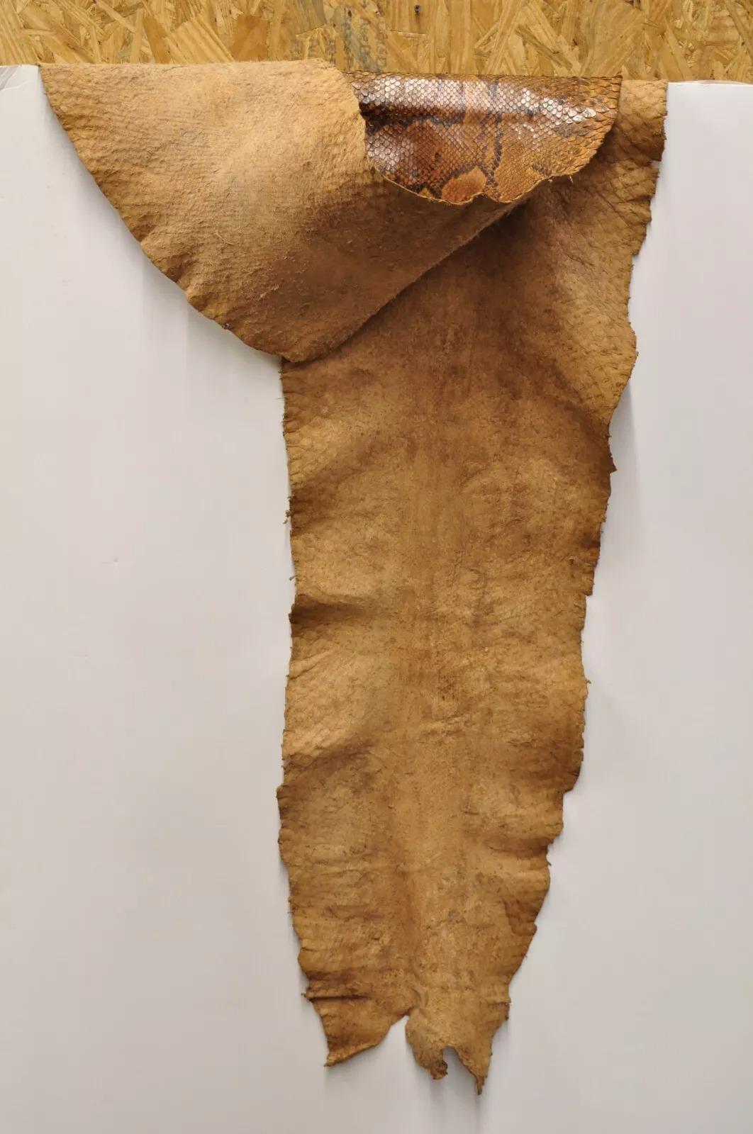 Vintage Rare Full Body Long 14 Foot Rock Python Snakeskin Shed Taxidermy In Good Condition For Sale In Philadelphia, PA