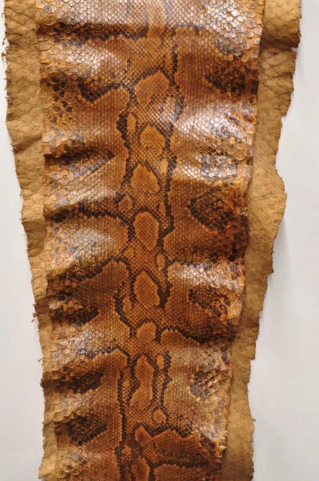 20th Century Vintage Rare Full Body Long 14 Foot Rock Python Snakeskin Shed Taxidermy For Sale