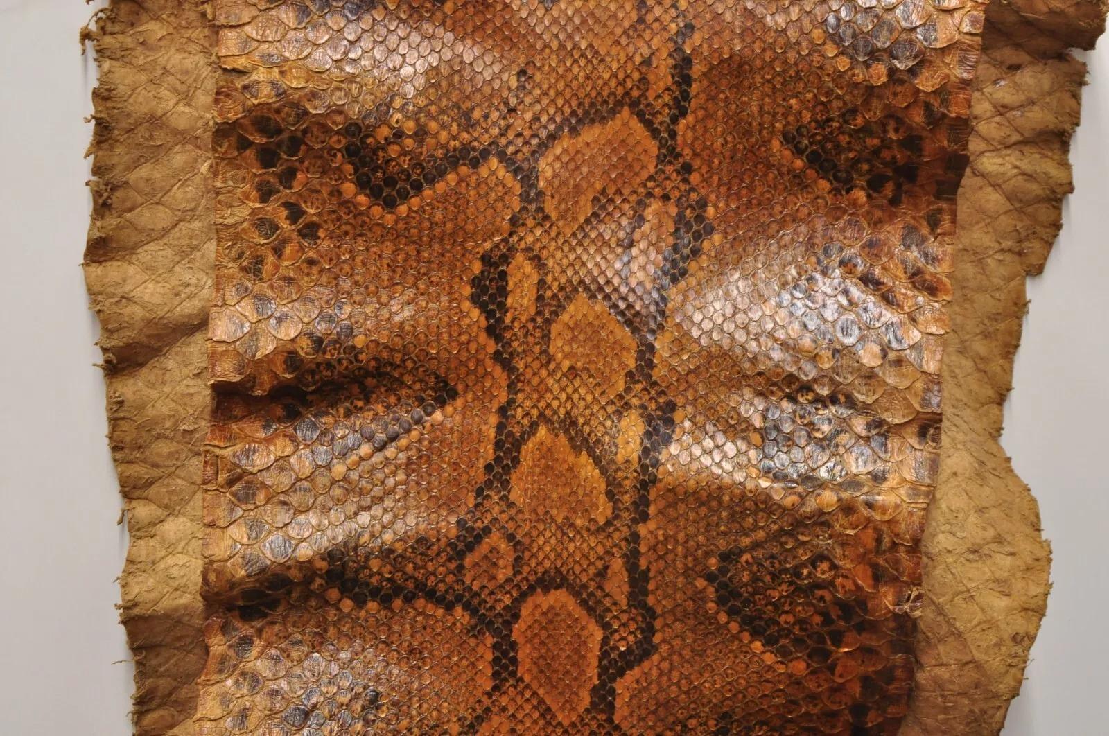 Animal Skin Vintage Rare Full Body Long 14 Foot Rock Python Snakeskin Shed Taxidermy For Sale