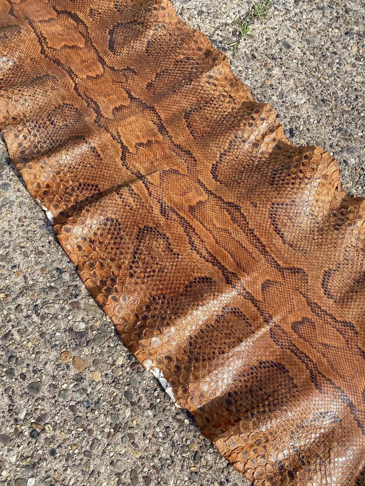 Vintage Rare Full Body Long 14 Foot Rock Python Snakeskin Shed Taxidermy For Sale 1
