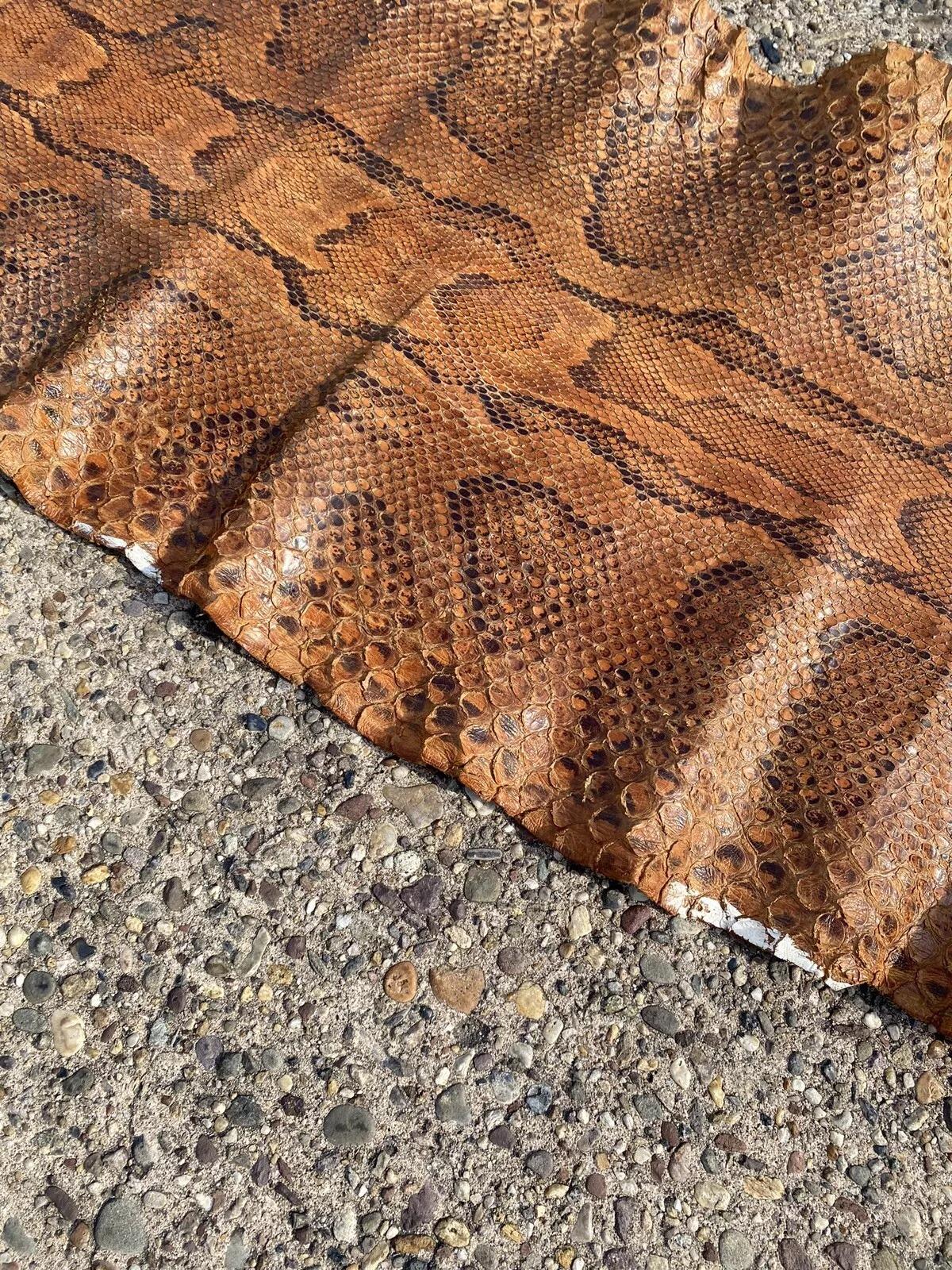 Vintage Rare Full Body Long 14 Foot Rock Python Snakeskin Shed Taxidermy For Sale 2