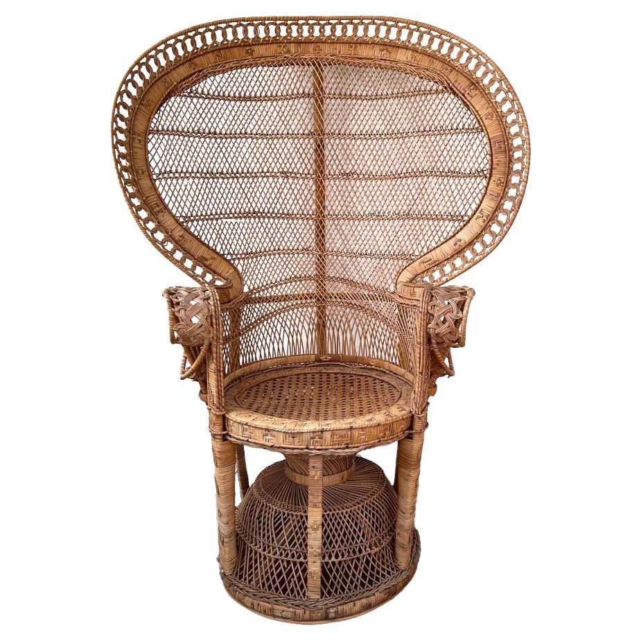 Vintage Peacock Chair with Black Trim at 1stDibs