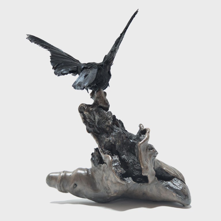 Vintage Raven Taxidermy on Root Sculpture For Sale at 1stDibs