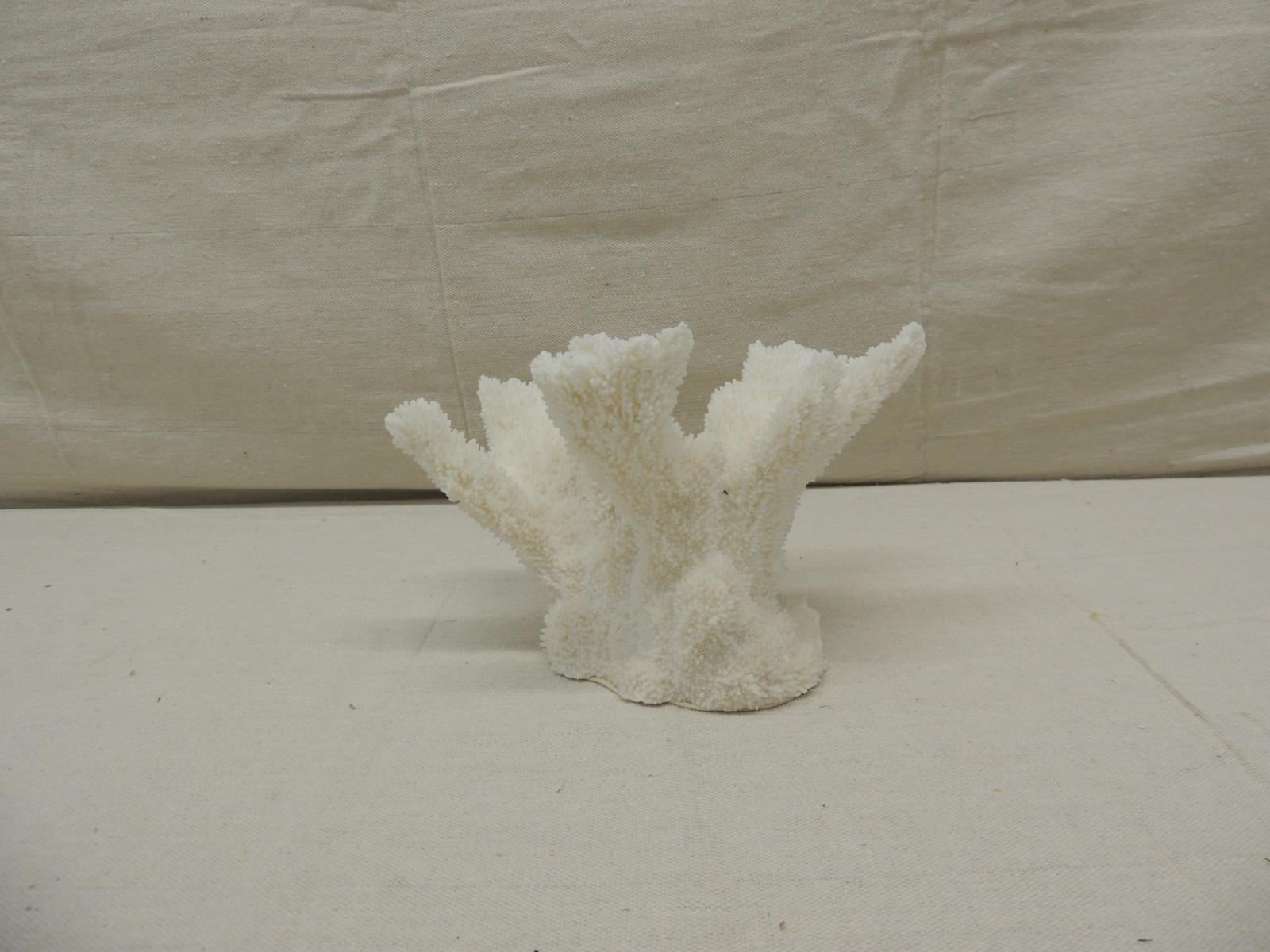 Vintage real white coral specimen.
Size: 9” W x 6.5” D x 5.75” H.