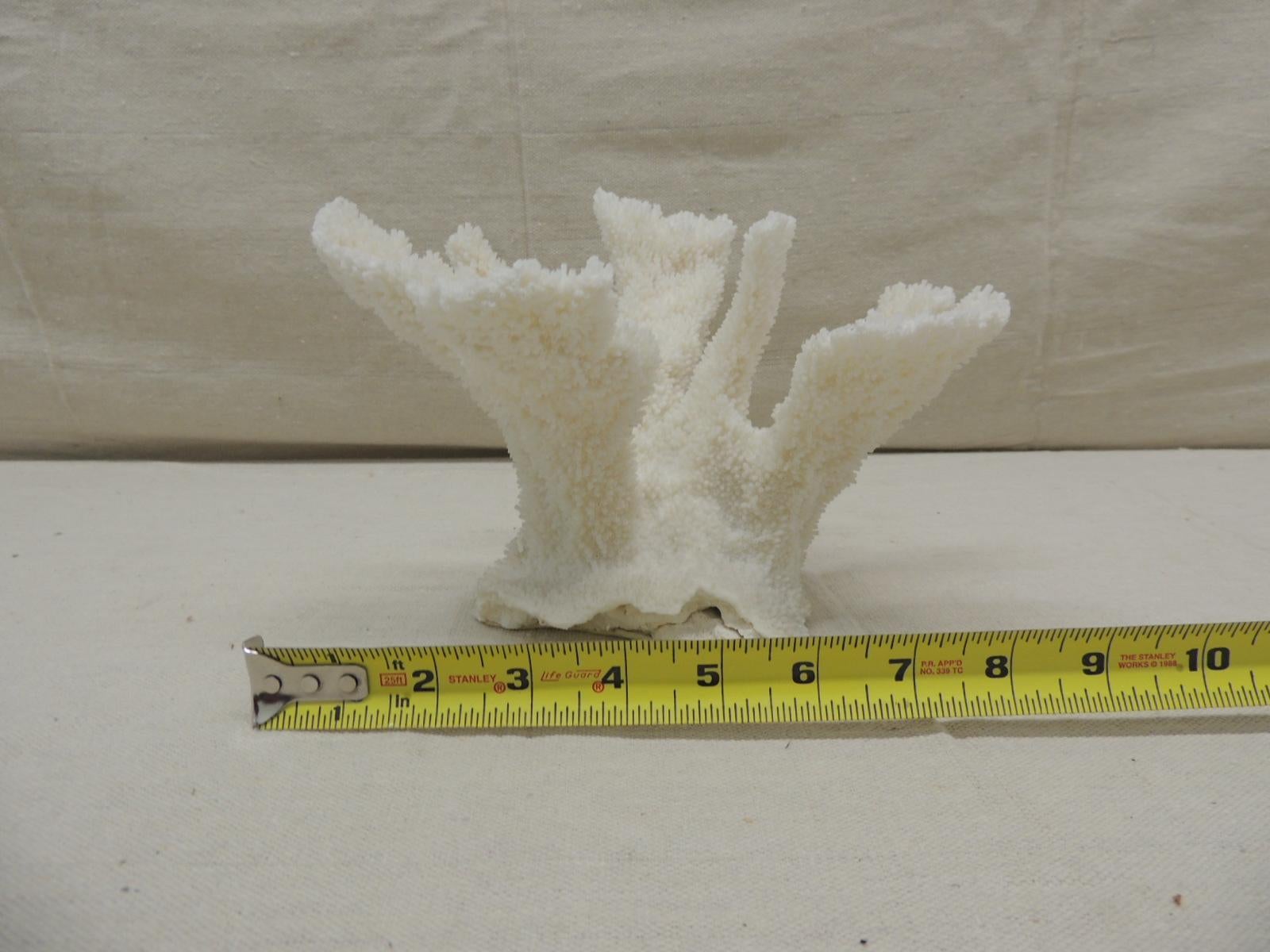 Vintage Real White Coral Specimen In Good Condition In Oakland Park, FL