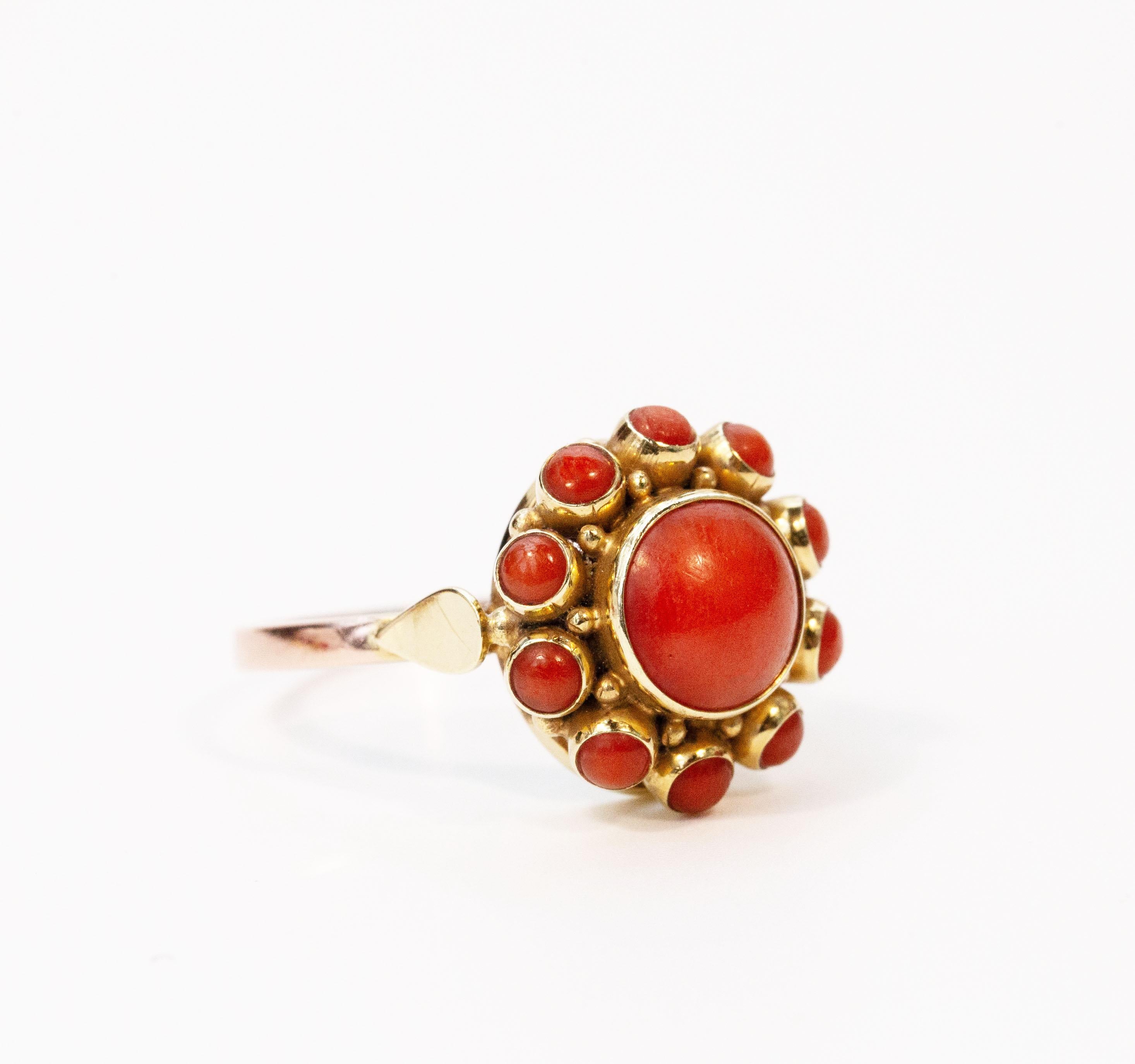 Ein Vintage-Ring aus 14 Karat Gold und roter Koralle aus den 1950er Jahren. Der Ring ist mit Korallenperlen im Cabochon-Schliff verziert. Die zentrale Perle ist von zehn kleineren Perlen umgeben, die alle in glatte Gelbgoldrahmen gefasst sind. Das