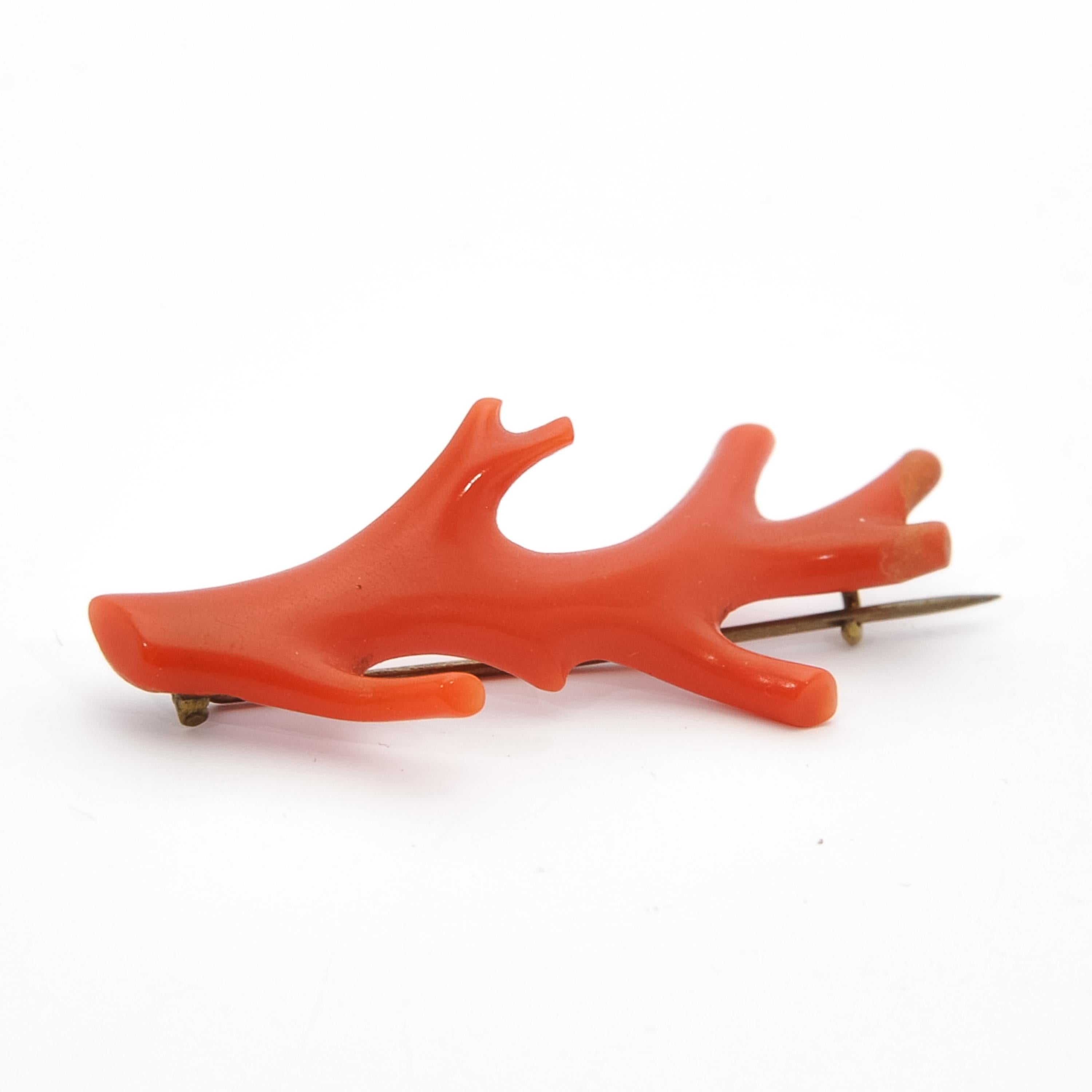 Diese schöne rote Koralle Zweig Brosche verfügt über eine herrliche tiefrote Farbe Koralle. Die Brosche wird mit einem Rollverschluss auf Metallbasis geschlossen. Diese Brosche ist einfach entzückend! Es wäre eine wunderbare Ergänzung zu einer