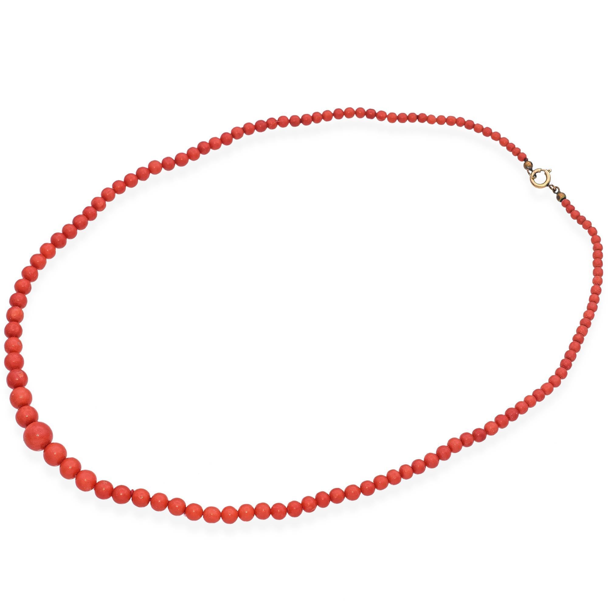 Una straordinaria collana di perline di corallo. Presenta vibranti perle di corallo rosso, ognuna delle quali è stata meticolosamente lucidata per ottenere una finitura liscia. Le perline sono infilate in modo uniforme, creando un flusso di colori e