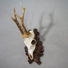 Vintage Red Deer Trophy on Carved Plaque, Germany 1950s