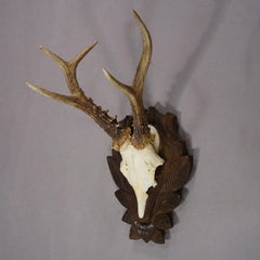 Vintage Red Deer Trophy on Carved Plaque, Germany 1964