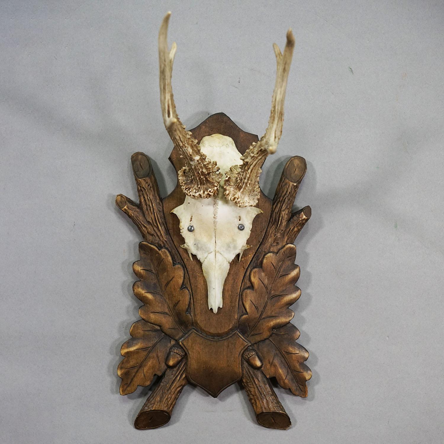 Vintage Rotwild-Trophäe auf großer geschnitzter Plakette, Deutschland (Schwarzwald) im Angebot