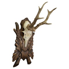 Decorative Art