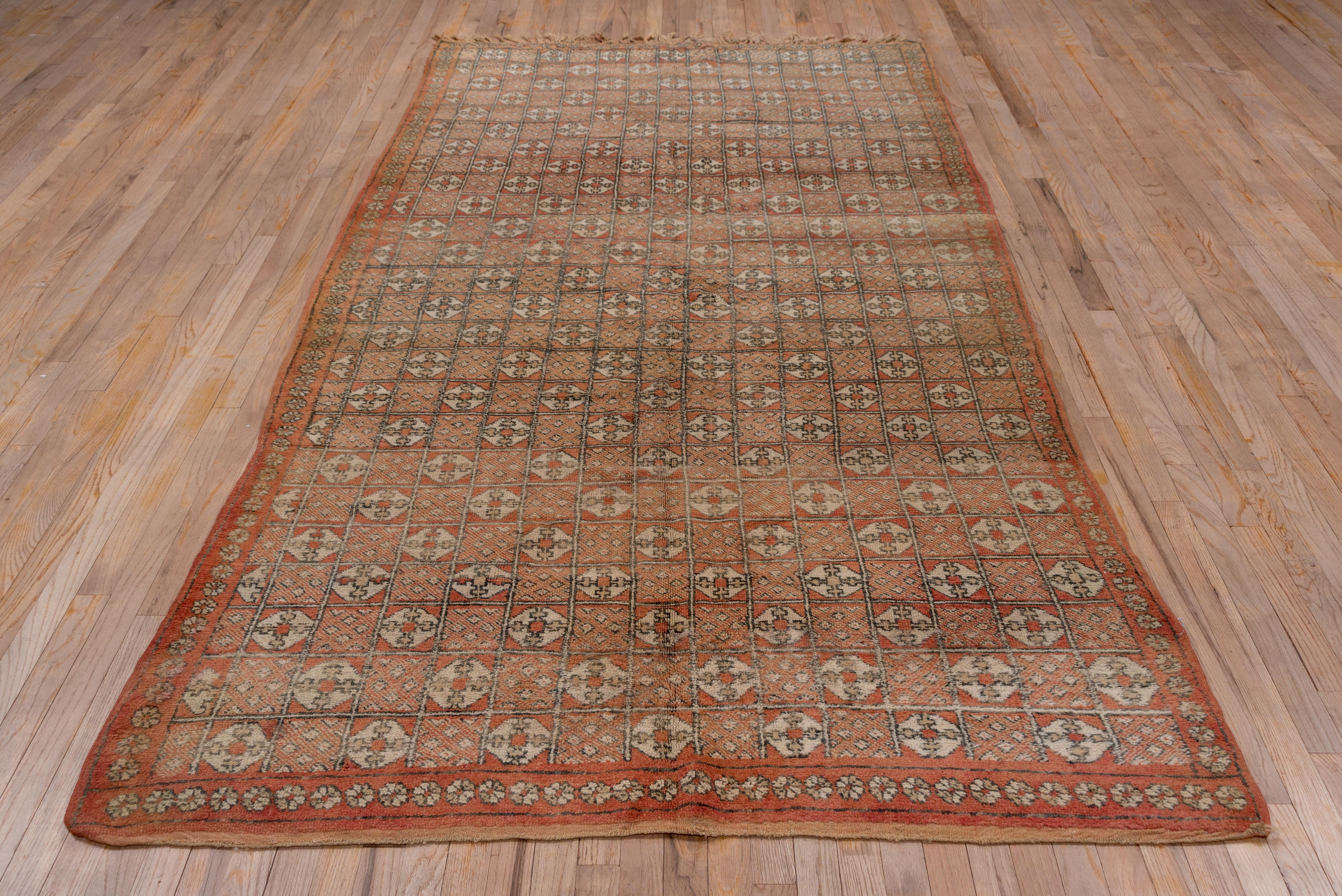 This relatively low pile carpet from the Moroccan plain shows a compact design of rows and columns of squares enclosing two styles of octagons, with a palette in rusty medium and dark brown and beige. The rusty-brown narrow border shows simple
