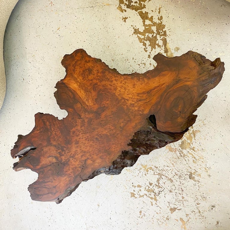 Vintage Redwood Burl Coffee Table at 1stDibs vintage redwood coffee