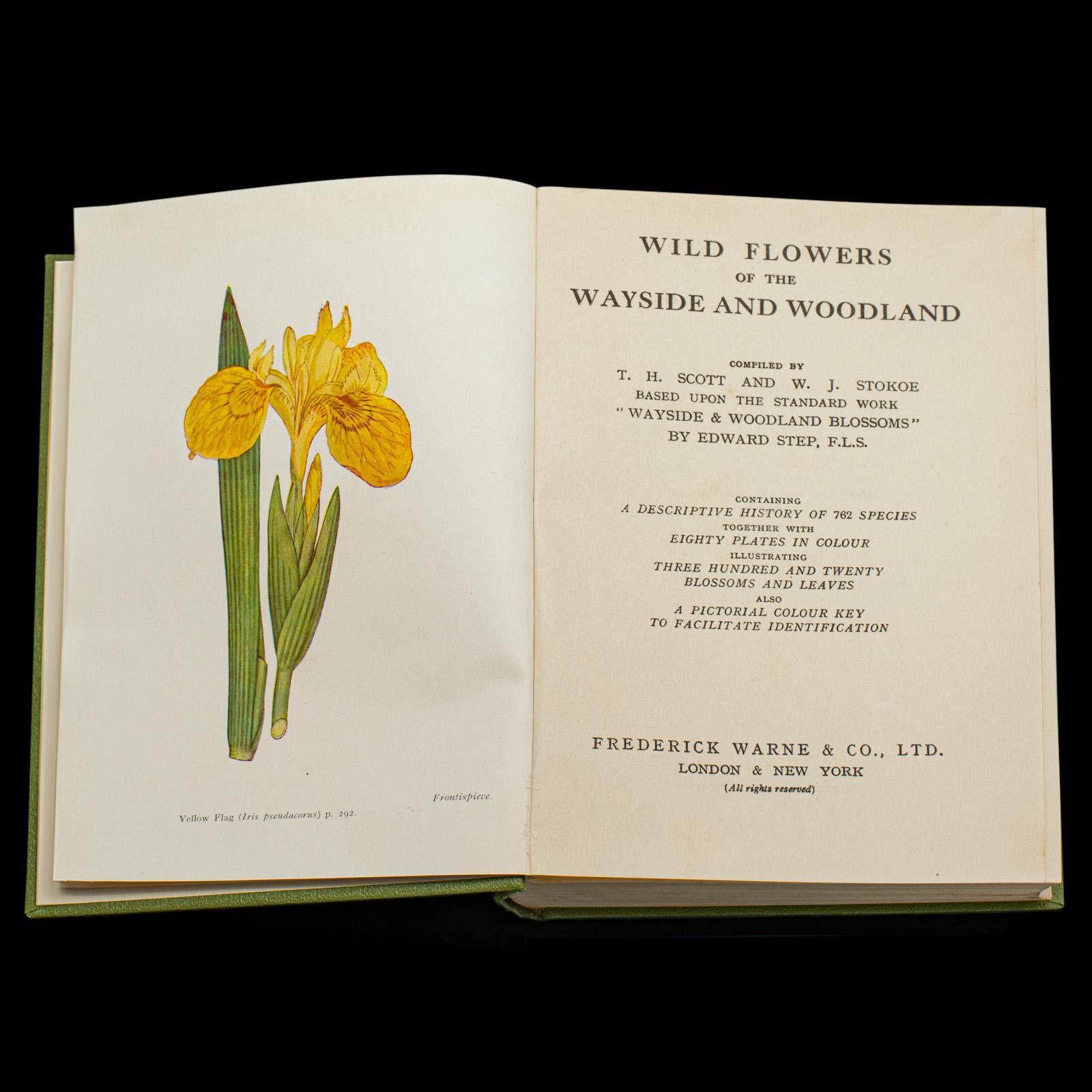 Mid-Century Modern Vintage Reference Book, Wild Flowers of the Wayside, English, Botanical Guide For Sale