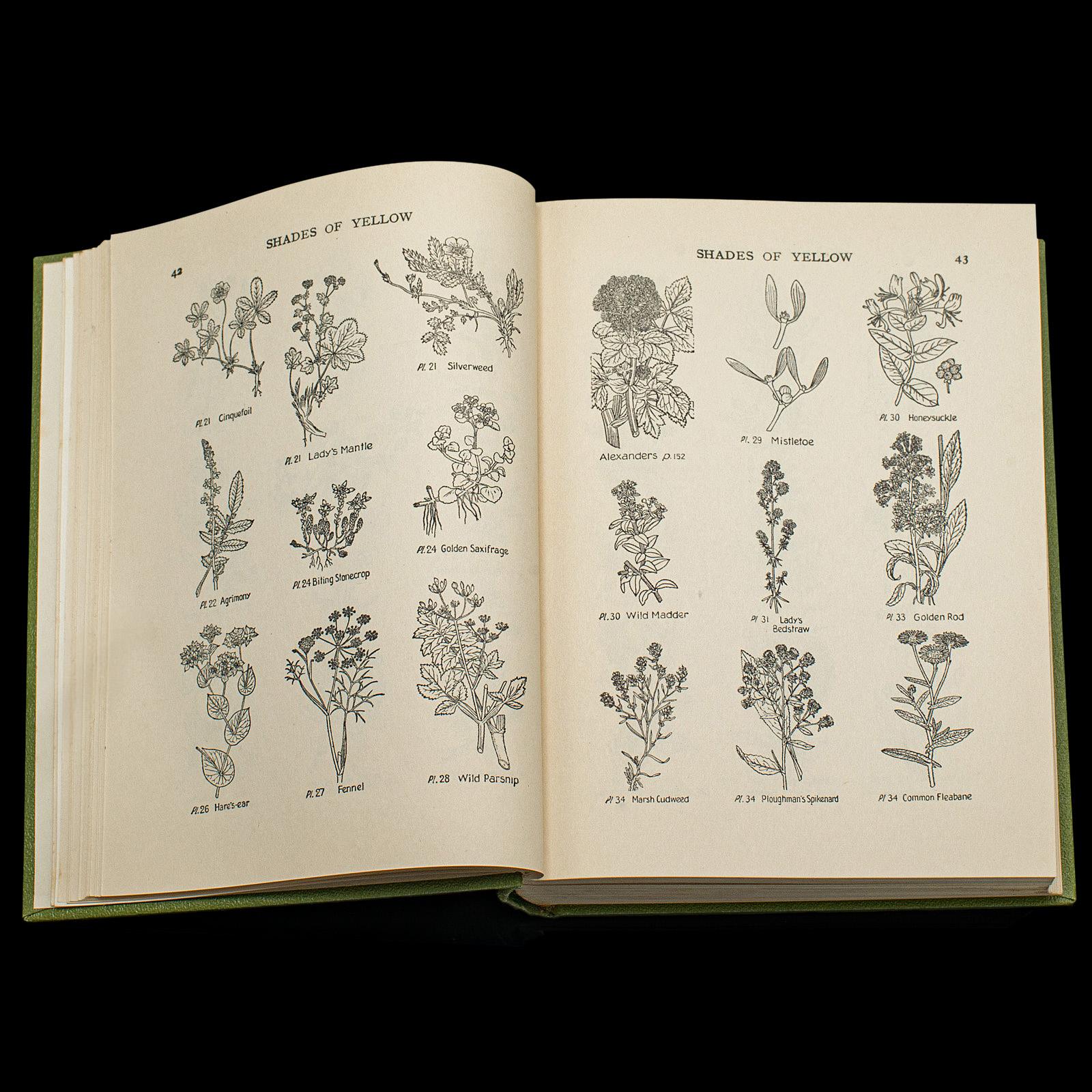 Vintage Reference Book, Wild Flowers of the Wayside, English, Botanical Guide In Good Condition For Sale In Hele, Devon, GB