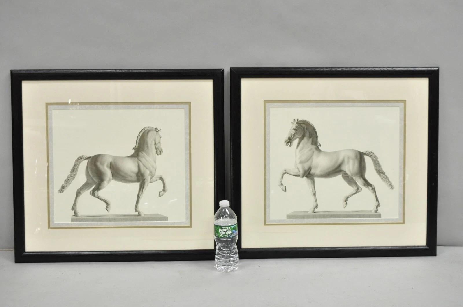 Vintage Regal Horse Sketch Equestrian Print Framed Art Wall Decor - (Set of 2). Circa Late 20th Century. Dimensions : 22