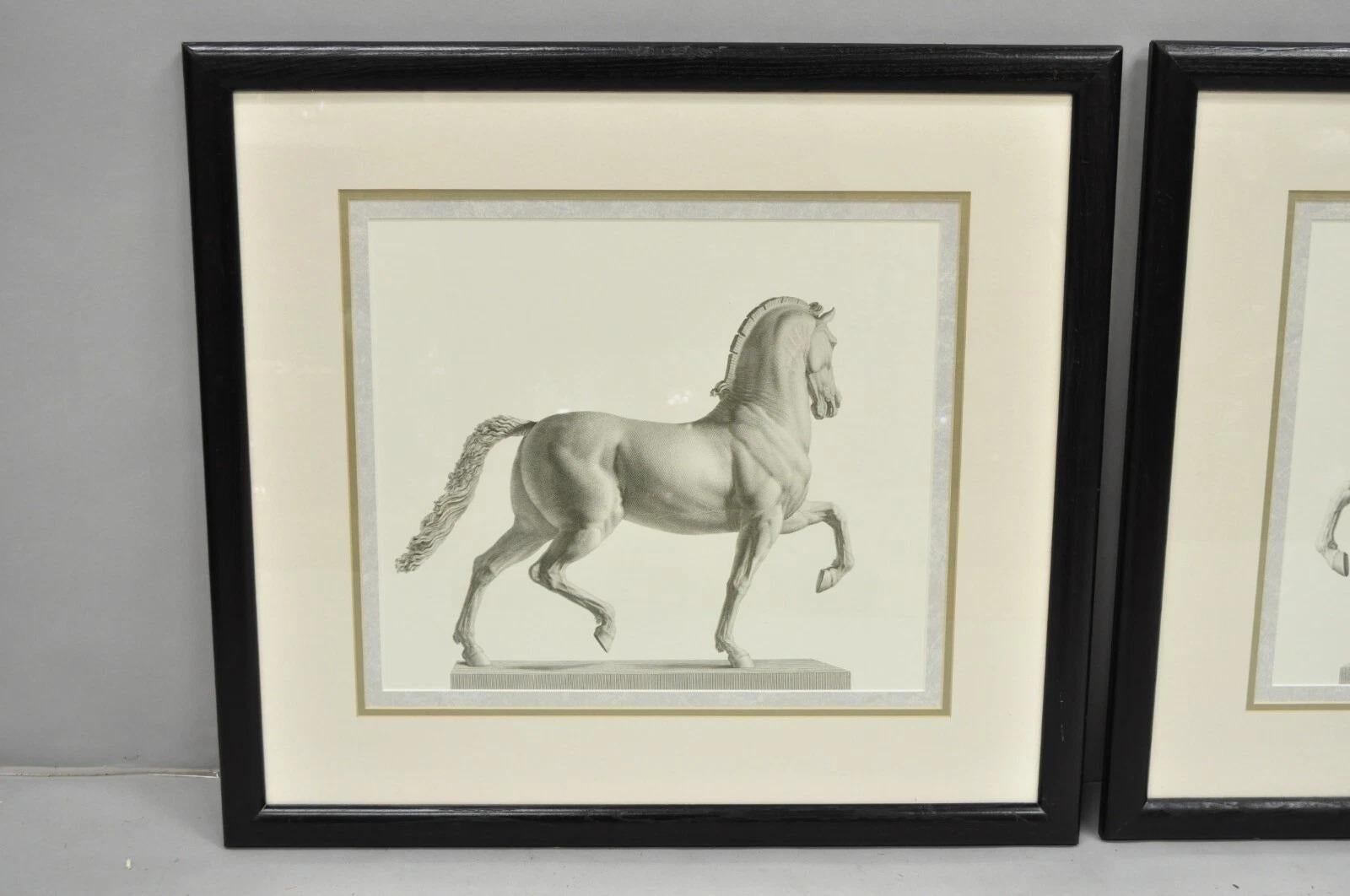 Autre Croquis de chevaux royals vintage encadré d'une impression équestre - (set de 2) en vente