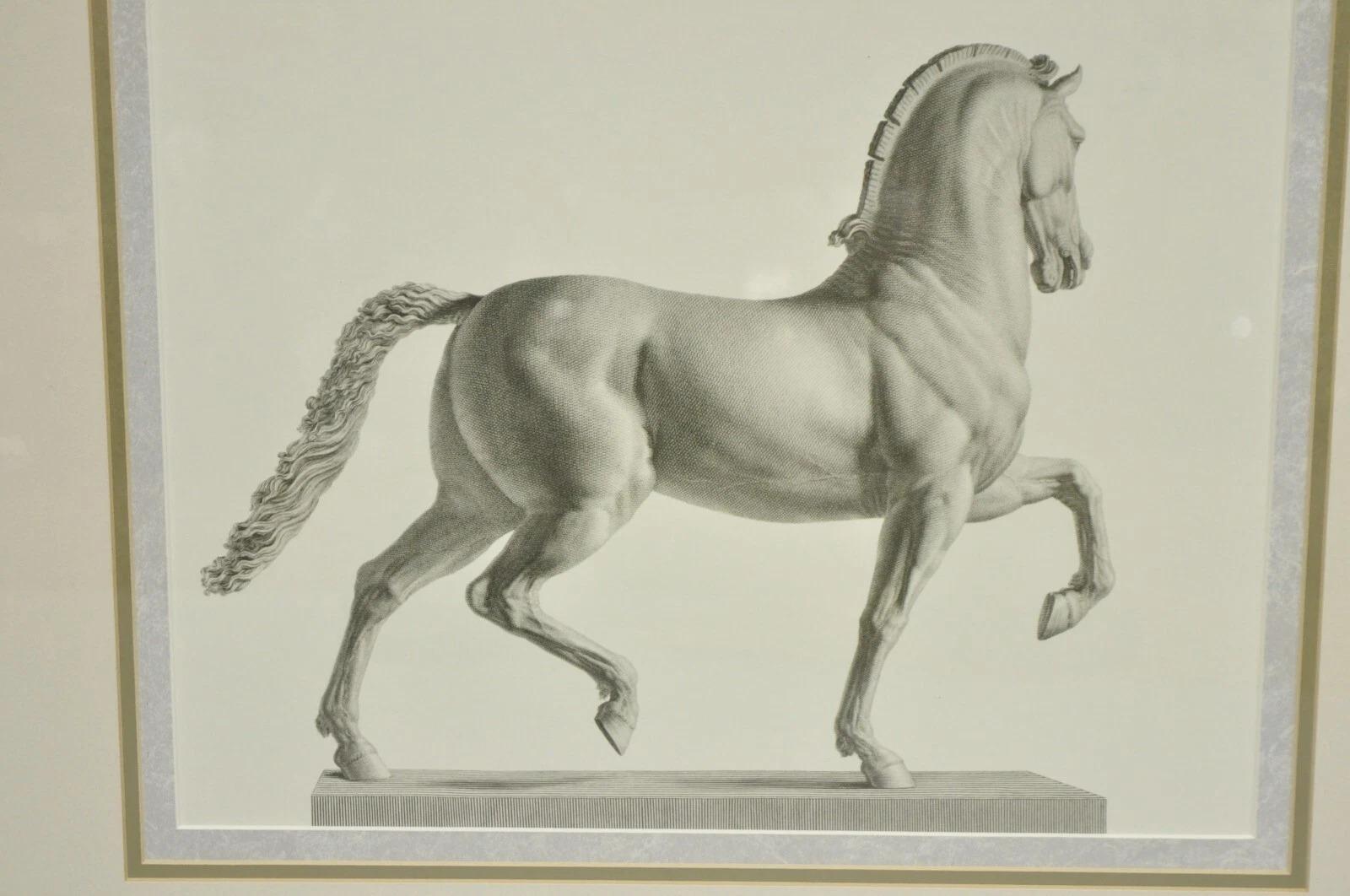 Inconnu Croquis de chevaux royals vintage encadré d'une impression équestre - (set de 2) en vente