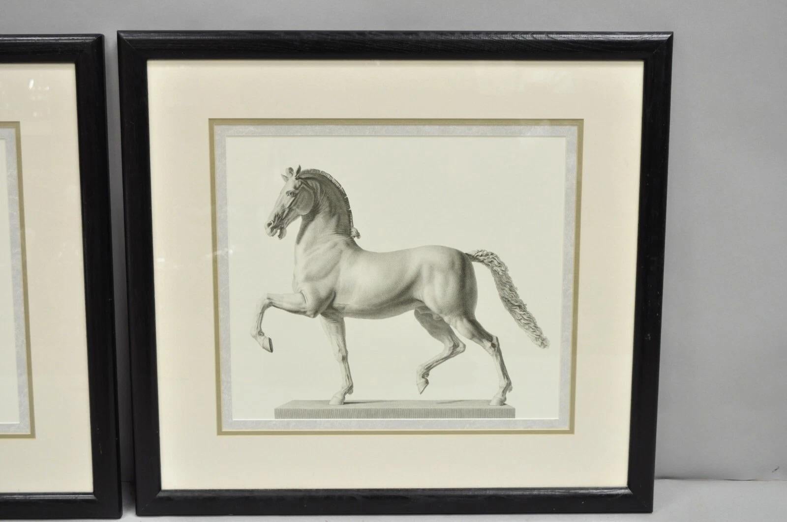 Croquis de chevaux royals vintage encadré d'une impression équestre - (set de 2) Bon état - En vente à Philadelphia, PA