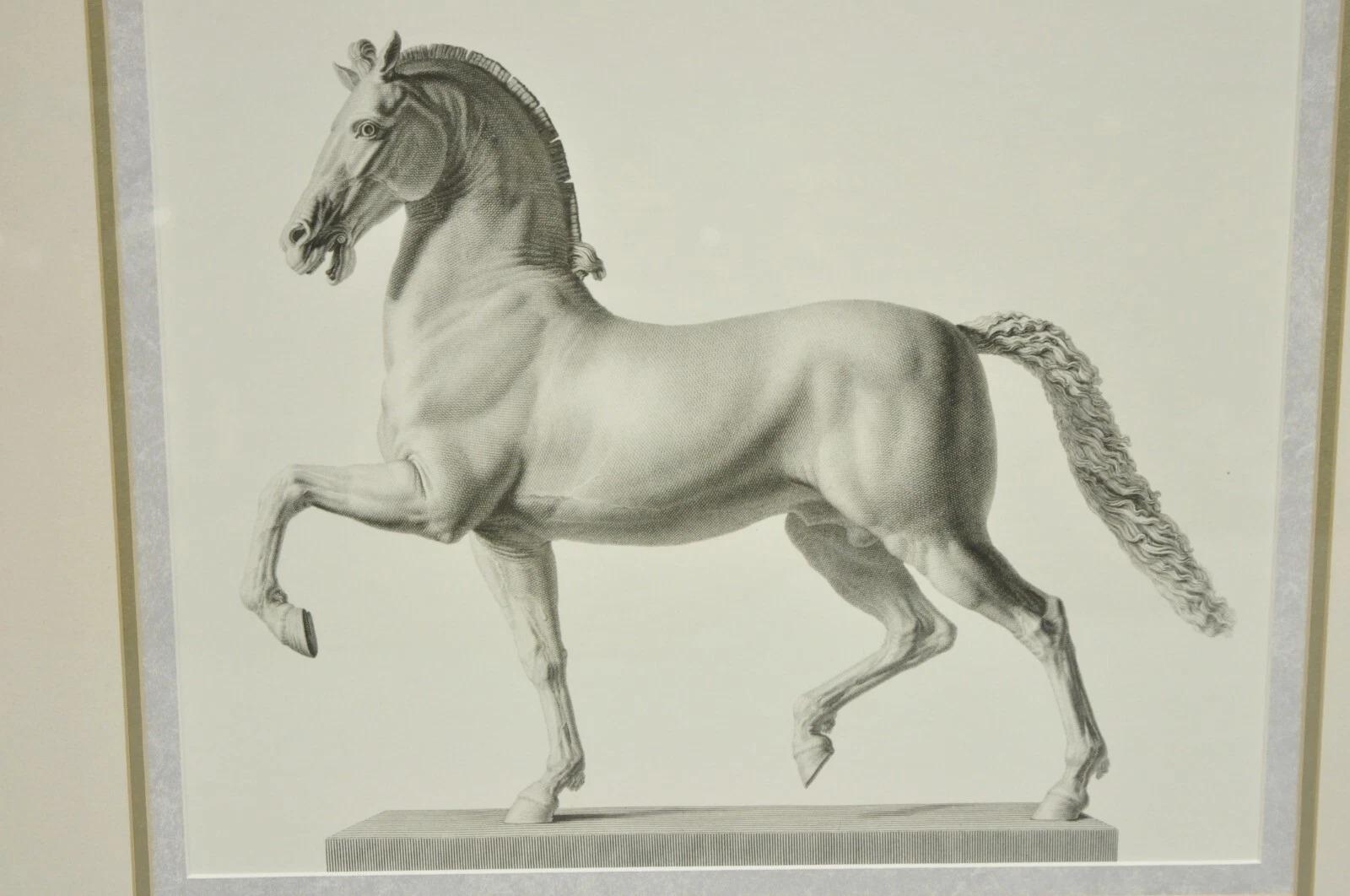 20ième siècle Croquis de chevaux royals vintage encadré d'une impression équestre - (set de 2) en vente