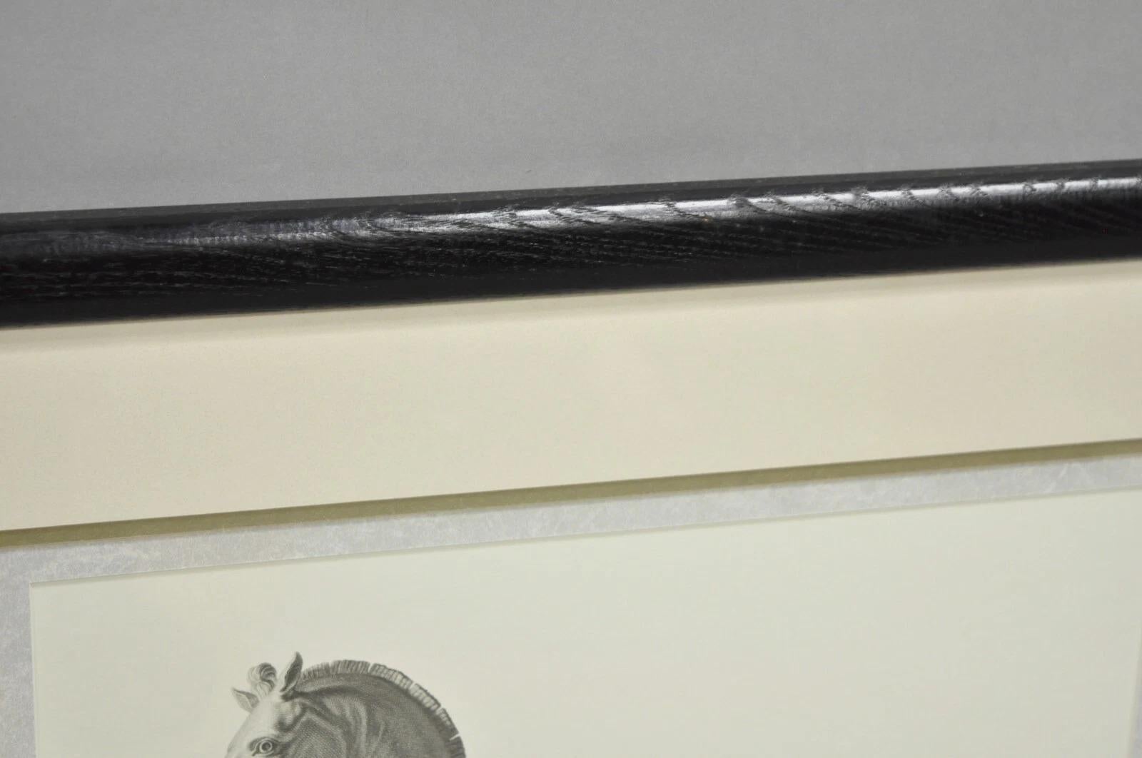 Croquis de chevaux royals vintage encadré d'une impression équestre - (set de 2) en vente 1