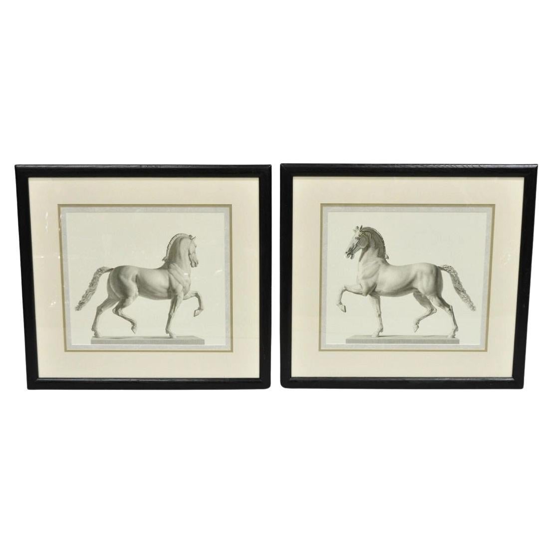 Vintage Regal Horse Sketch Equestrian Print Framed Art Wall Decor - (Set of 2)