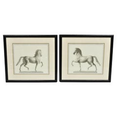 Vintage Regal Horse Sketch Equestrian Print Framed Art Wall Decor - (Set of 2)