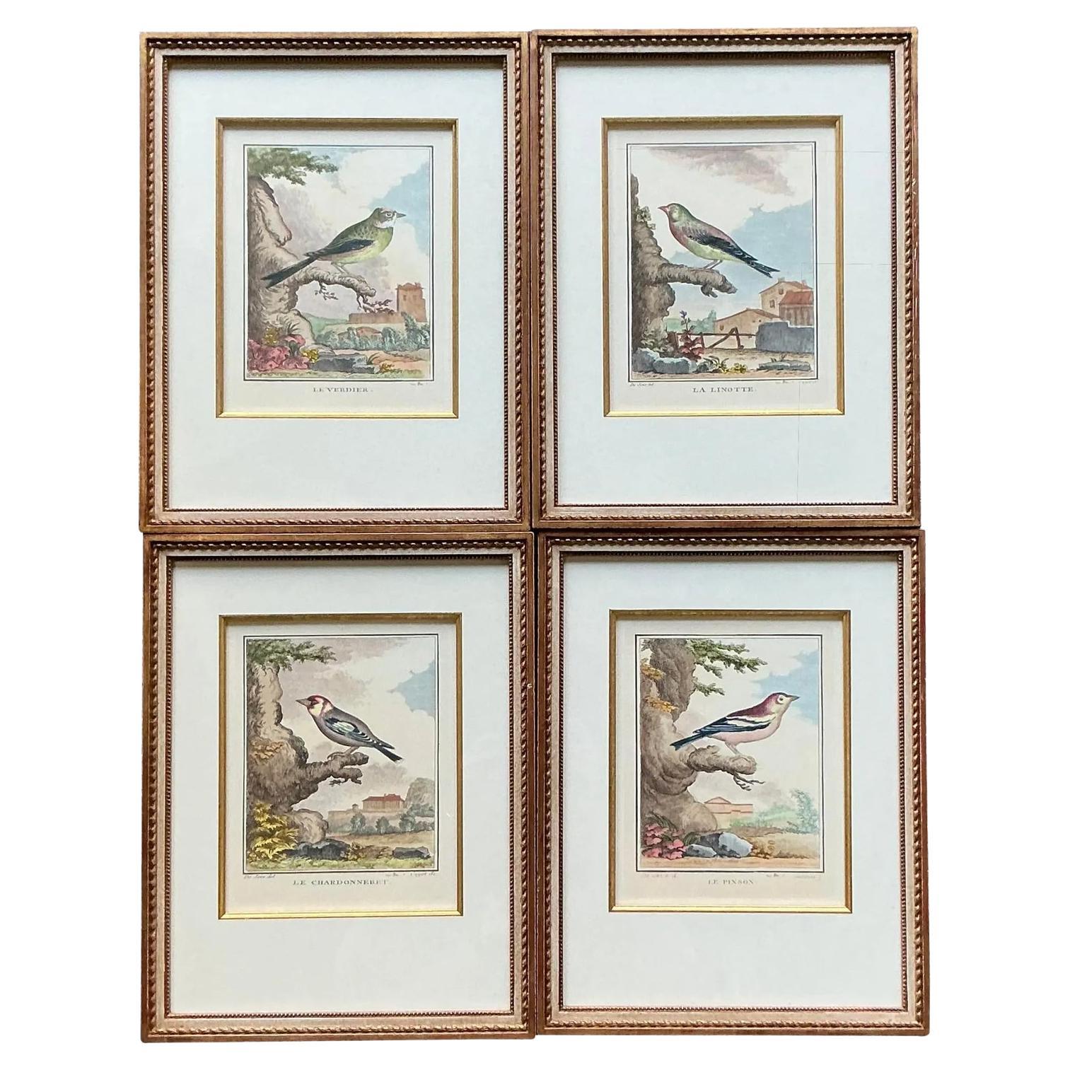 Vintage Regency Bird Prints - Set of 4